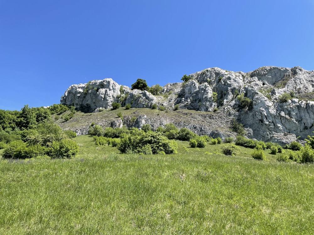 ein grasbewachsenes Feld mit einem Berg im Hintergrund