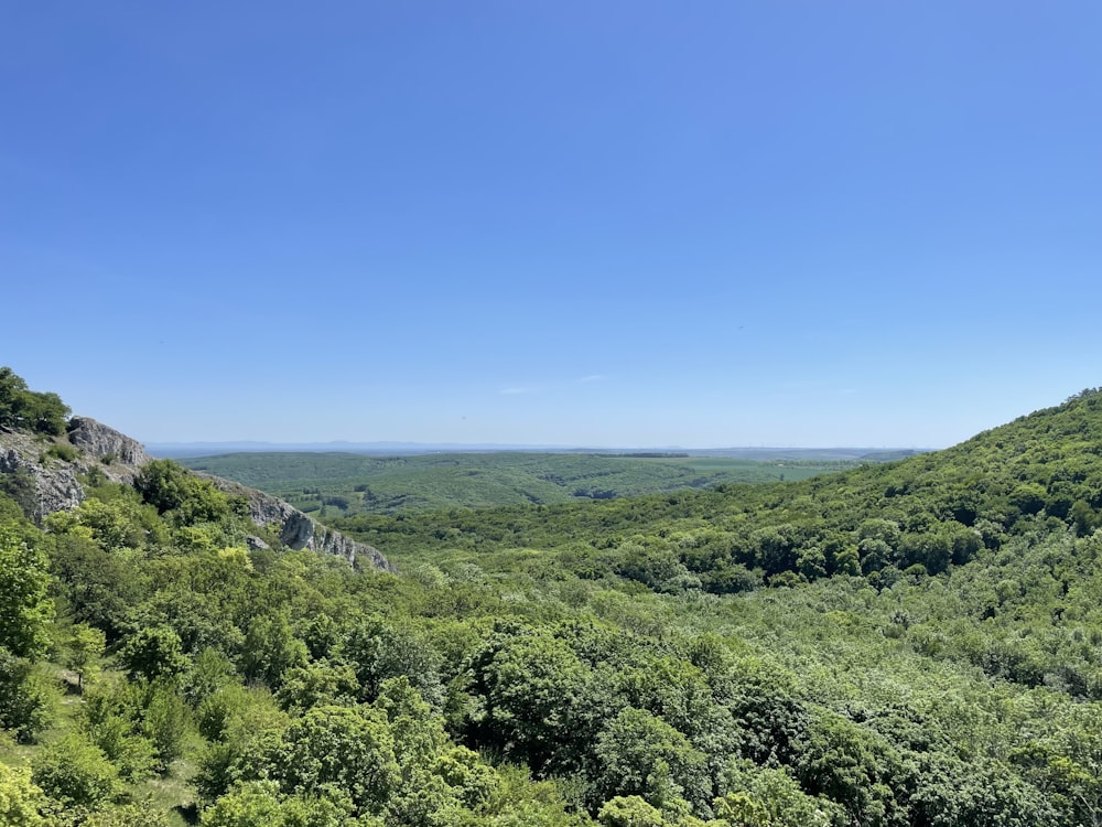 a view of a lush green valley surrounded by trees