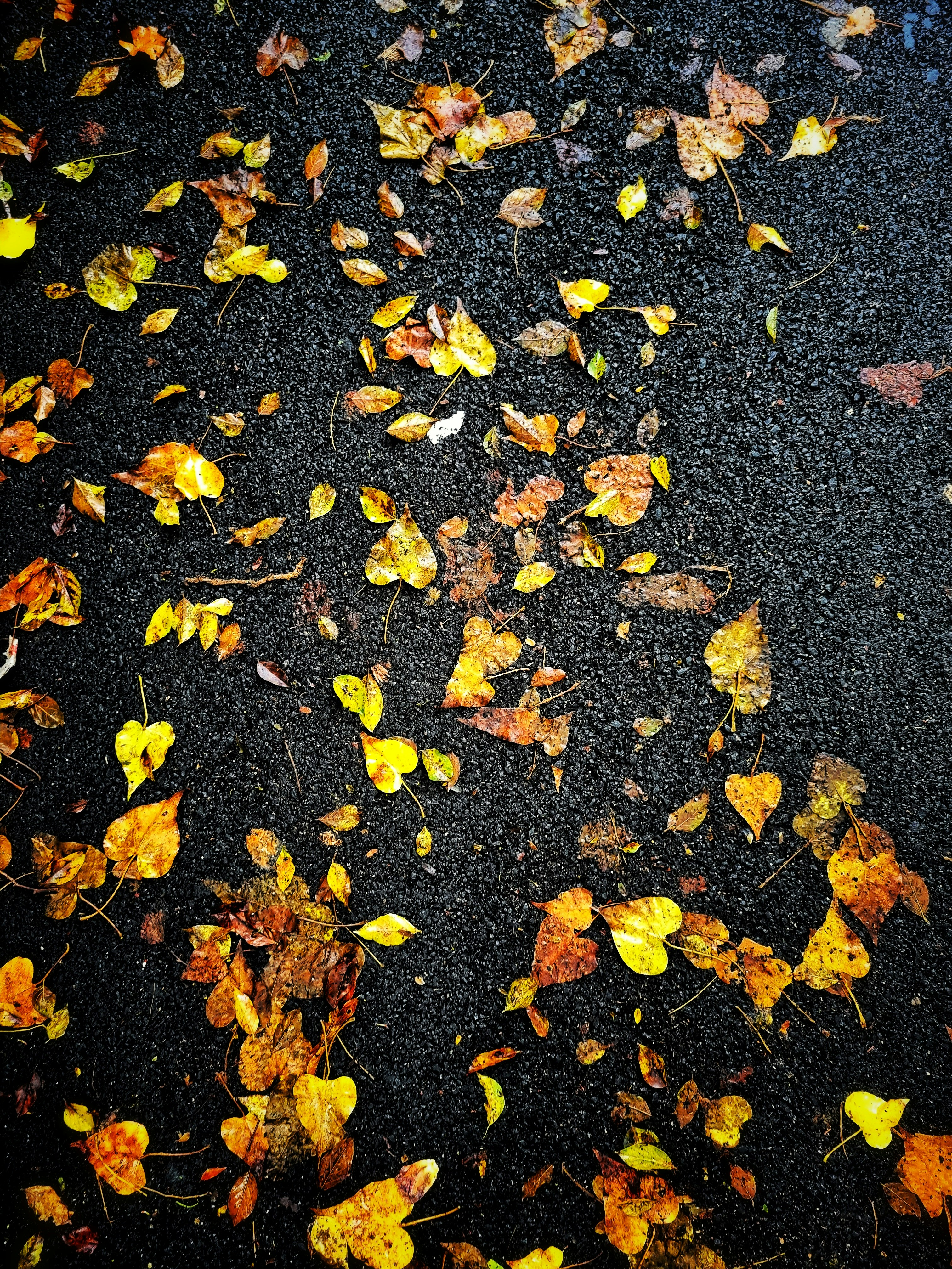 Photo by ishantanuagrawal