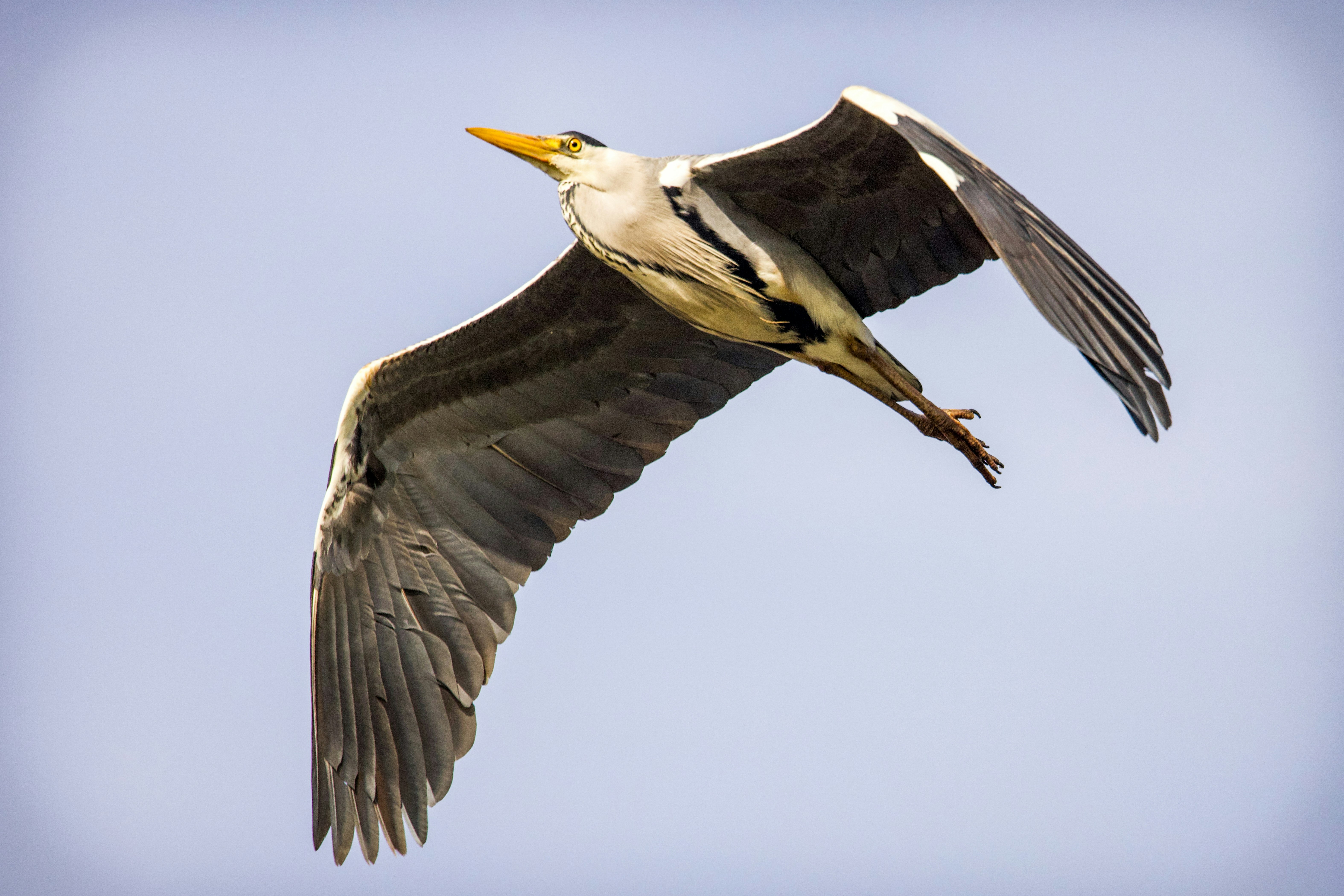 Photo by heather_wilde