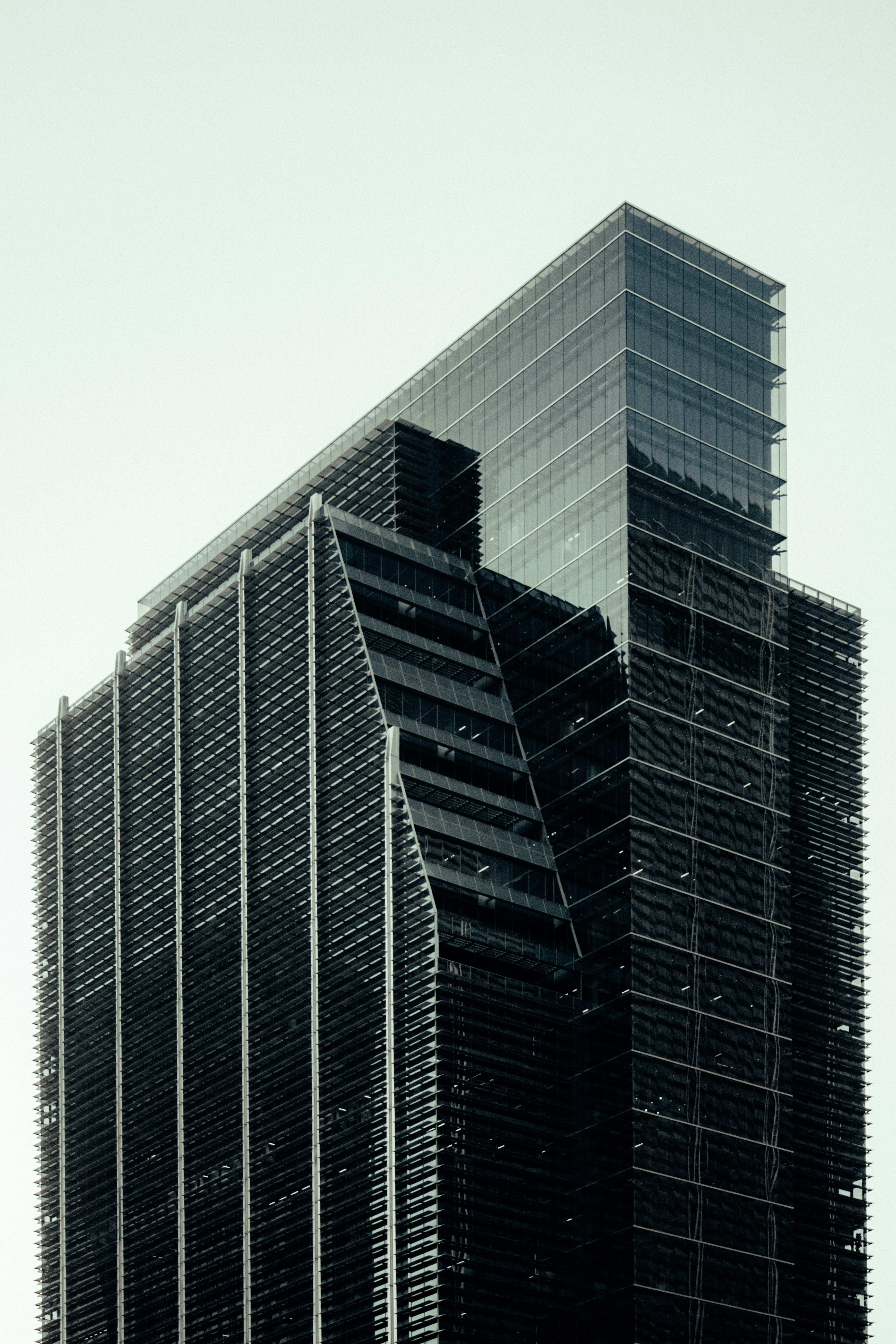 Photo by salaheregouane