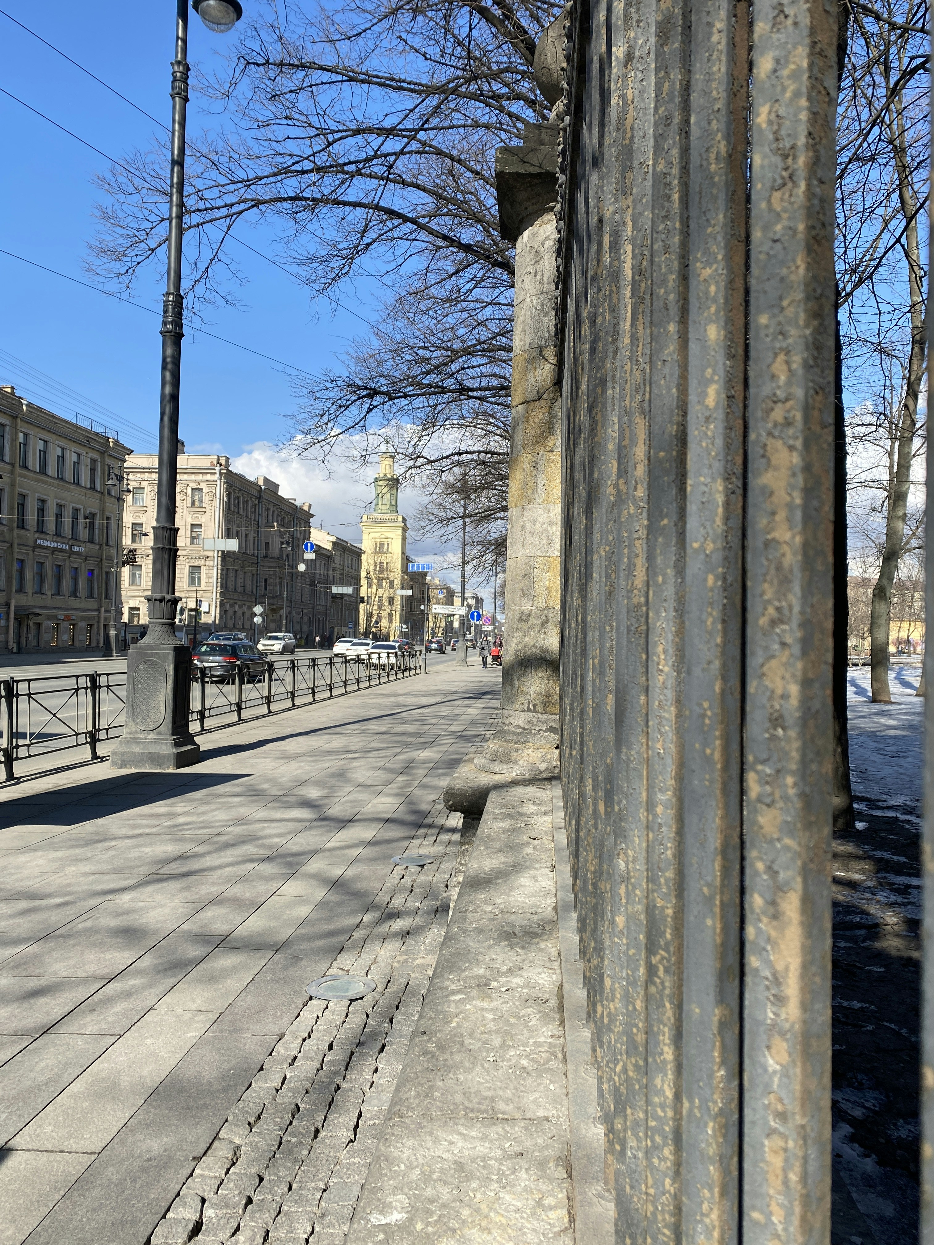 A city street lined with tall buildings and trees photo – Free Car ...
