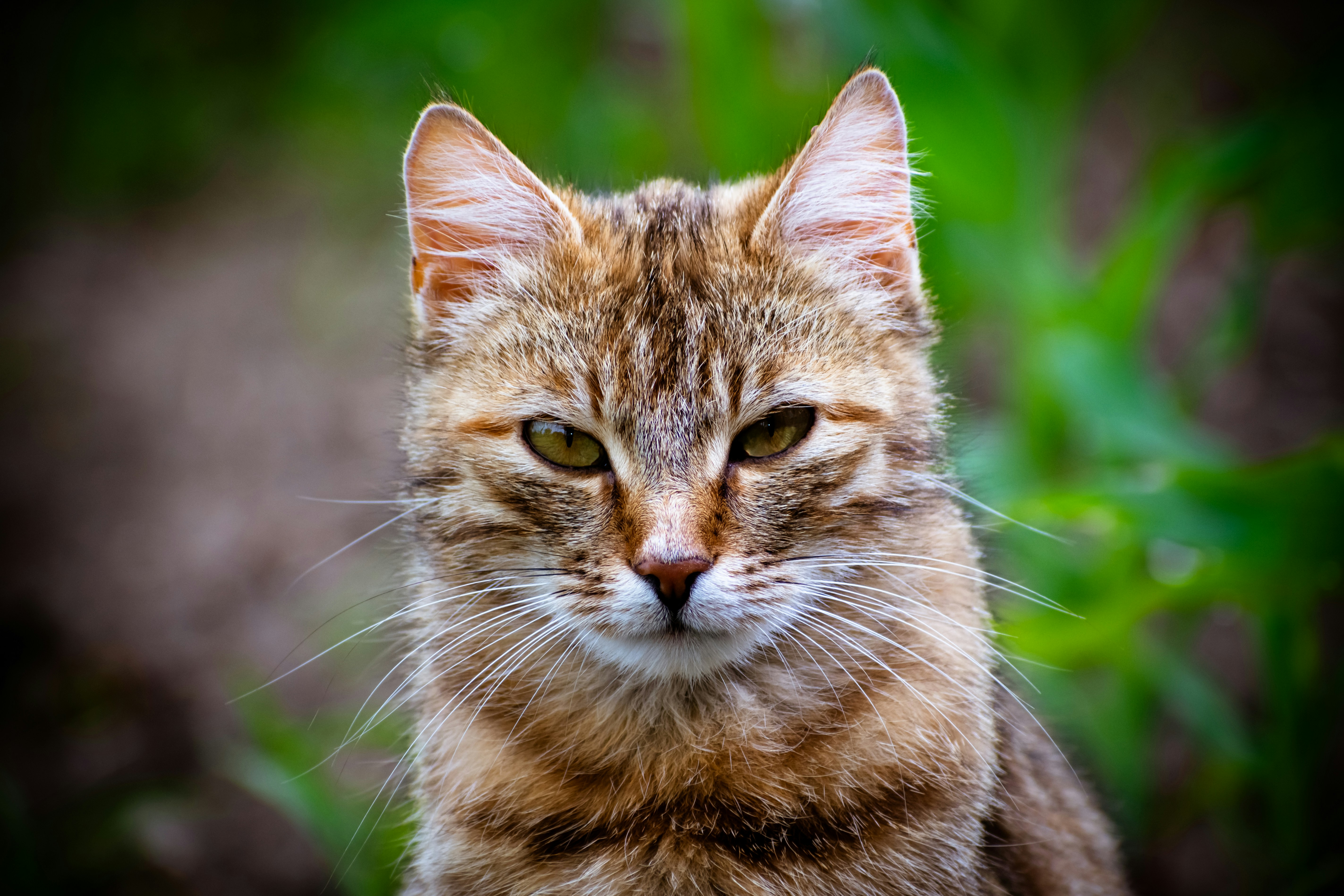 Photo by alexbc_photographer