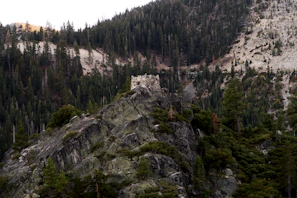 Untamed wilderness of the Pyrenees with dense forests and rocky ridges.