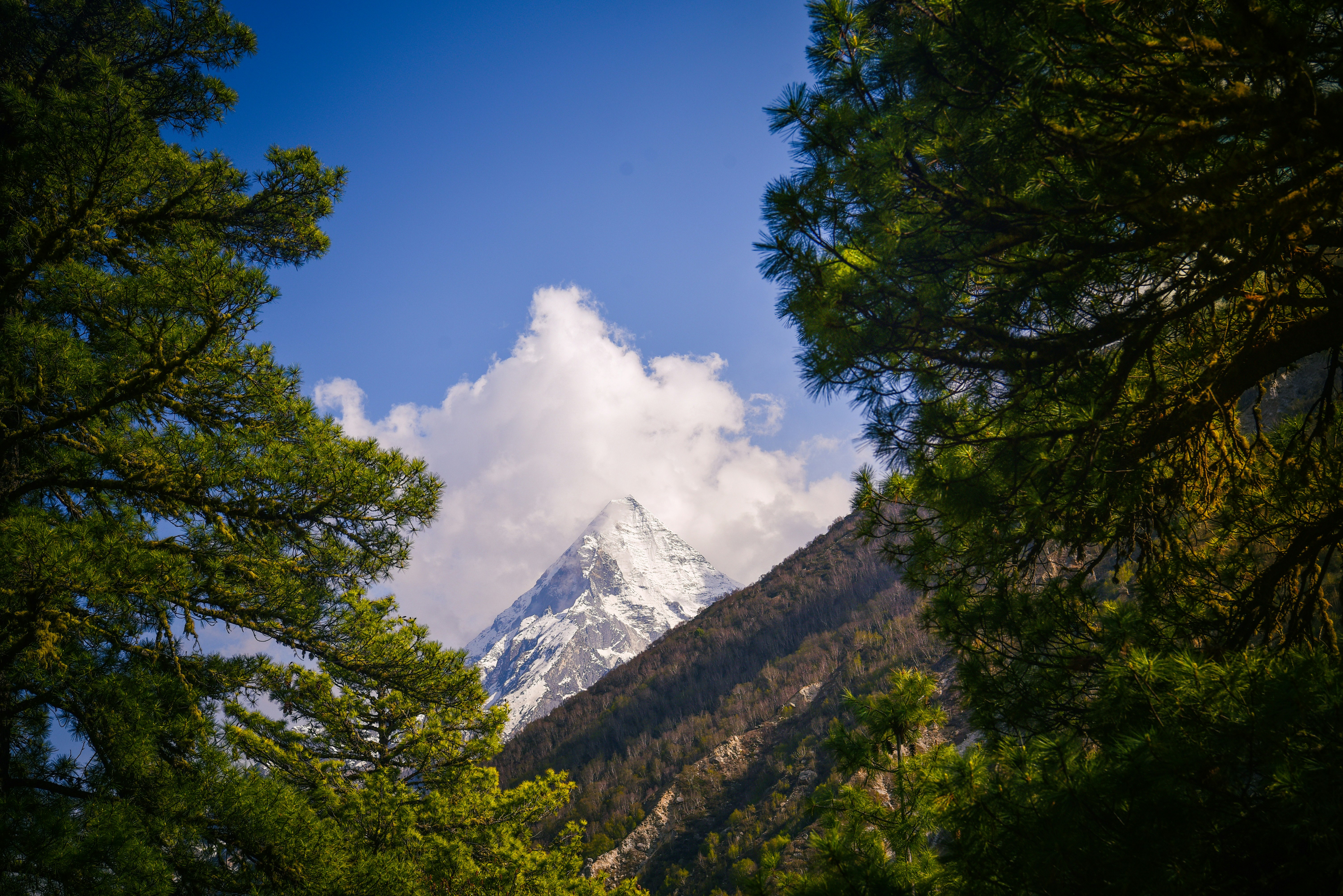 Photo by subhadeep003