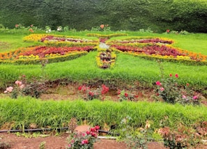 Detailed garden with butterflies and flowers outlined for adult coloring
