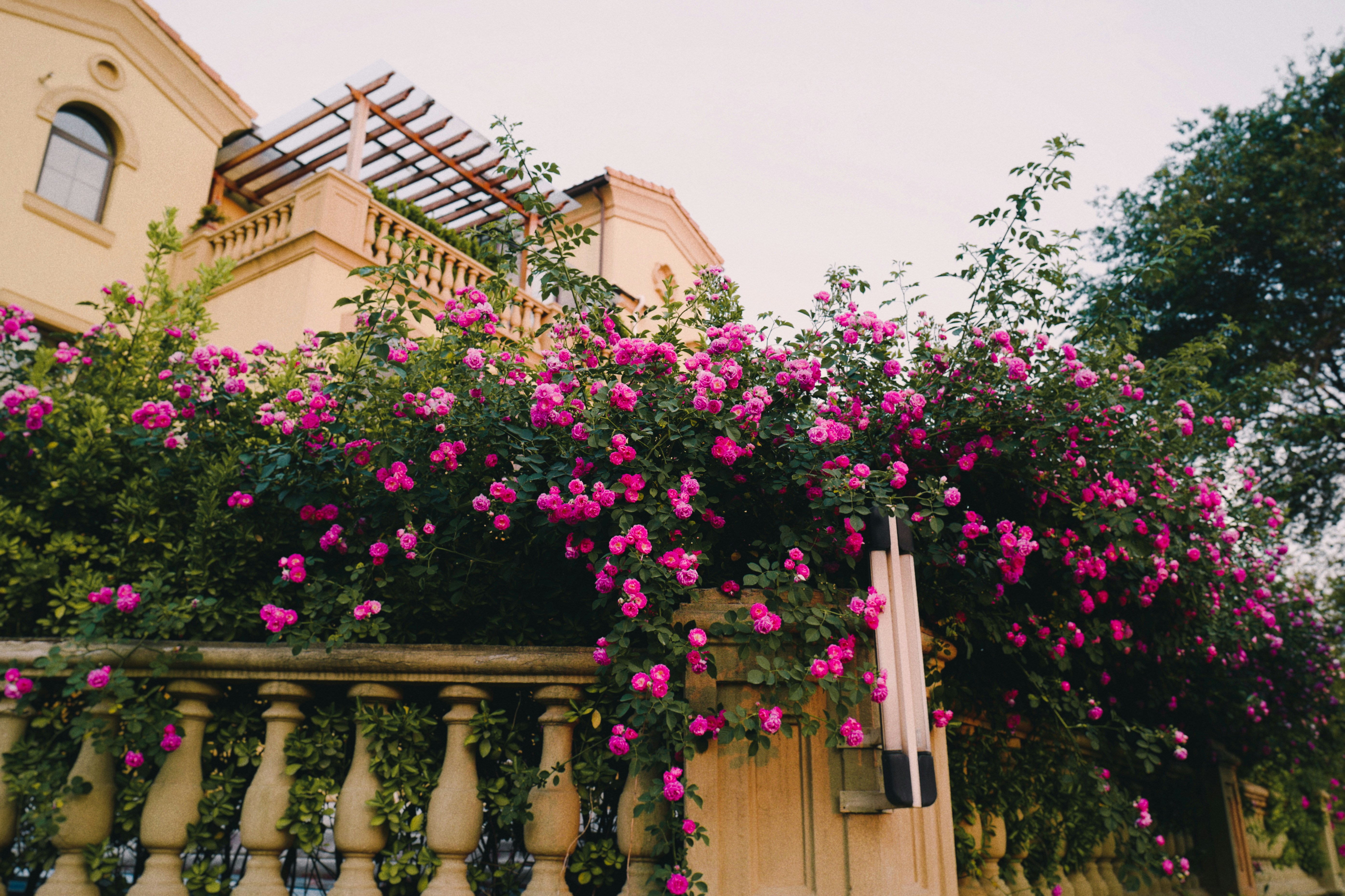 The Principle of Charity: Why You Should Make Your Opponent's Argument Stronger