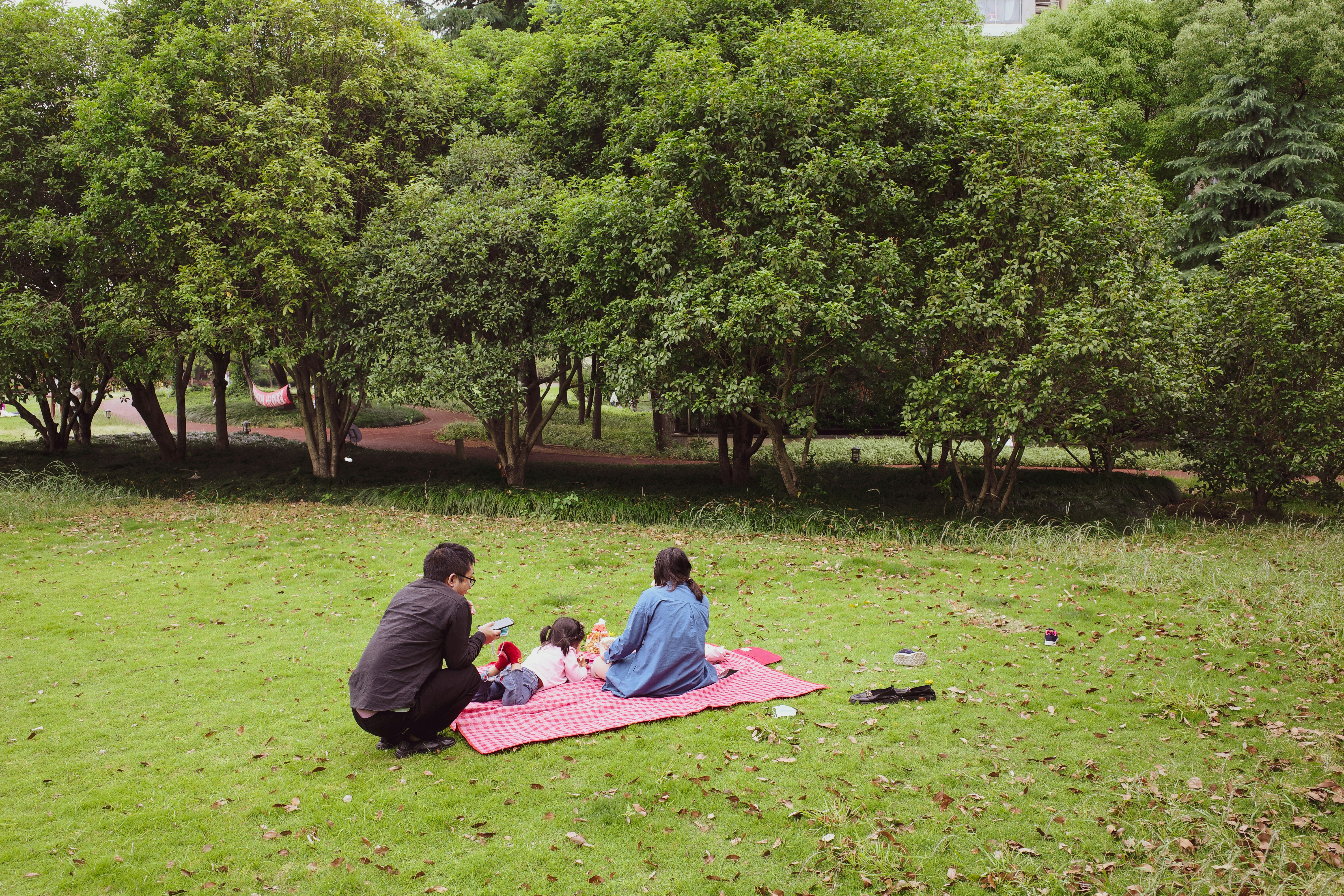 A family enjoying a free day out in a Melbourne park