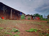 A rural setting with simple wooden structures lined up, featuring brick walls and corrugated metal roofs. Clothing hangs on lines strung across the buildings, with red containers positioned nearby. The ground is bare and earthy, scattered with green foliage. Tall green vegetation grows in the background under a cloudy sky.