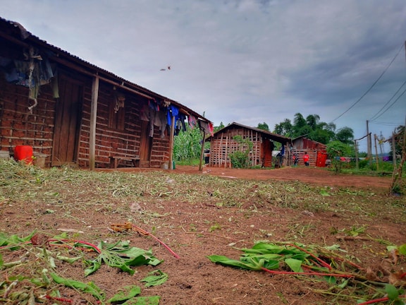 A rural setting with simple wooden structures lined up, featuring brick walls and corrugated metal roofs. Clothing hangs on lines strung across the buildings, with red containers positioned nearby. The ground is bare and earthy, scattered with green foliage. Tall green vegetation grows in the background under a cloudy sky.