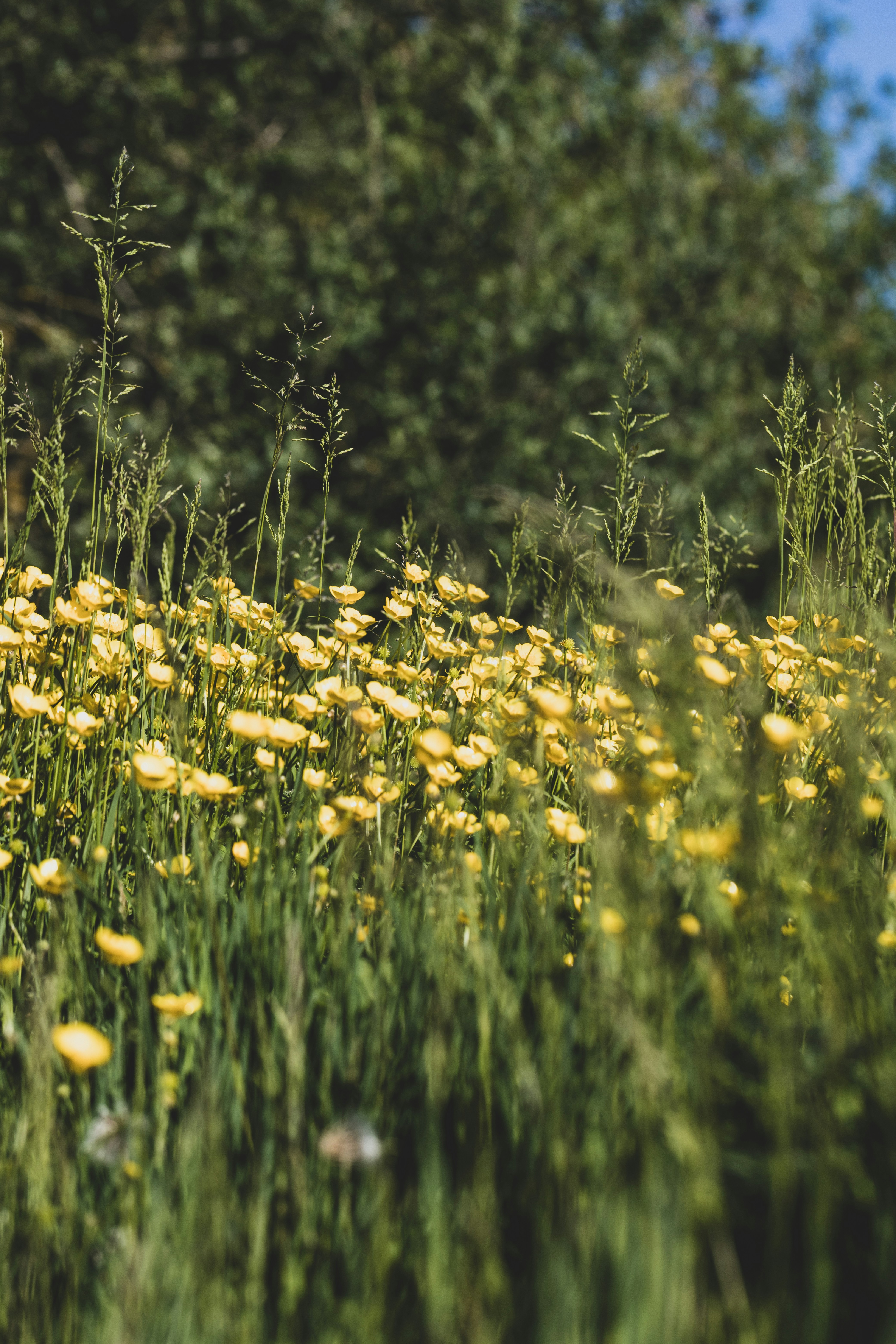 Photo by grievek1610begur