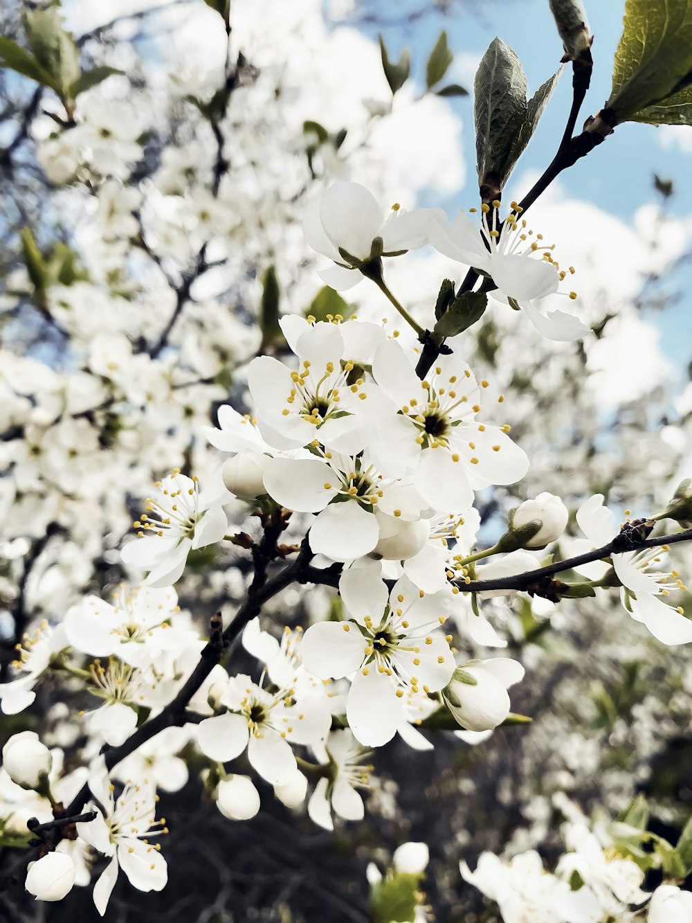 a vase of flowers on a tree branch