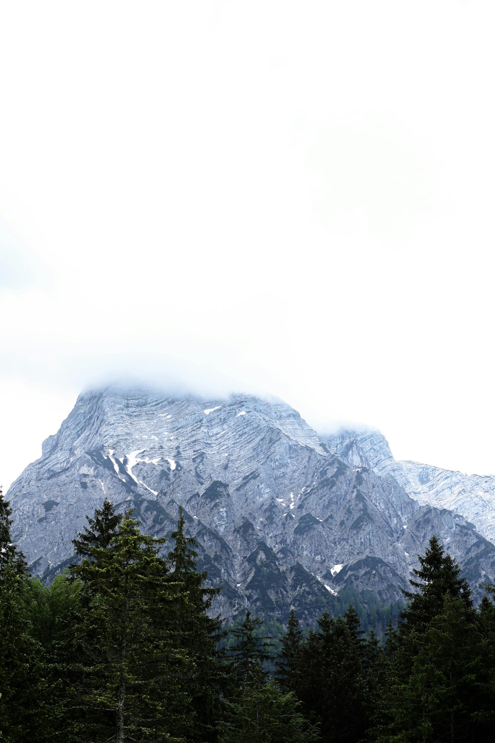 a mountain range with trees in the foreground