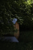 A wooden cabin with a corrugated metal roof is partially visible among dense greenery. The cabin's reflection can be seen in a calm, dark body of water surrounded by lush trees, creating a serene and secluded atmosphere.