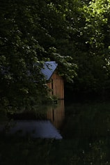 A wooden cabin with a corrugated metal roof is partially visible among dense greenery. The cabin's reflection can be seen in a calm, dark body of water surrounded by lush trees, creating a serene and secluded atmosphere.
