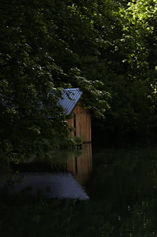 A wooden cabin with a corrugated metal roof is partially visible among dense greenery. The cabin's reflection can be seen in a calm, dark body of water surrounded by lush trees, creating a serene and secluded atmosphere.