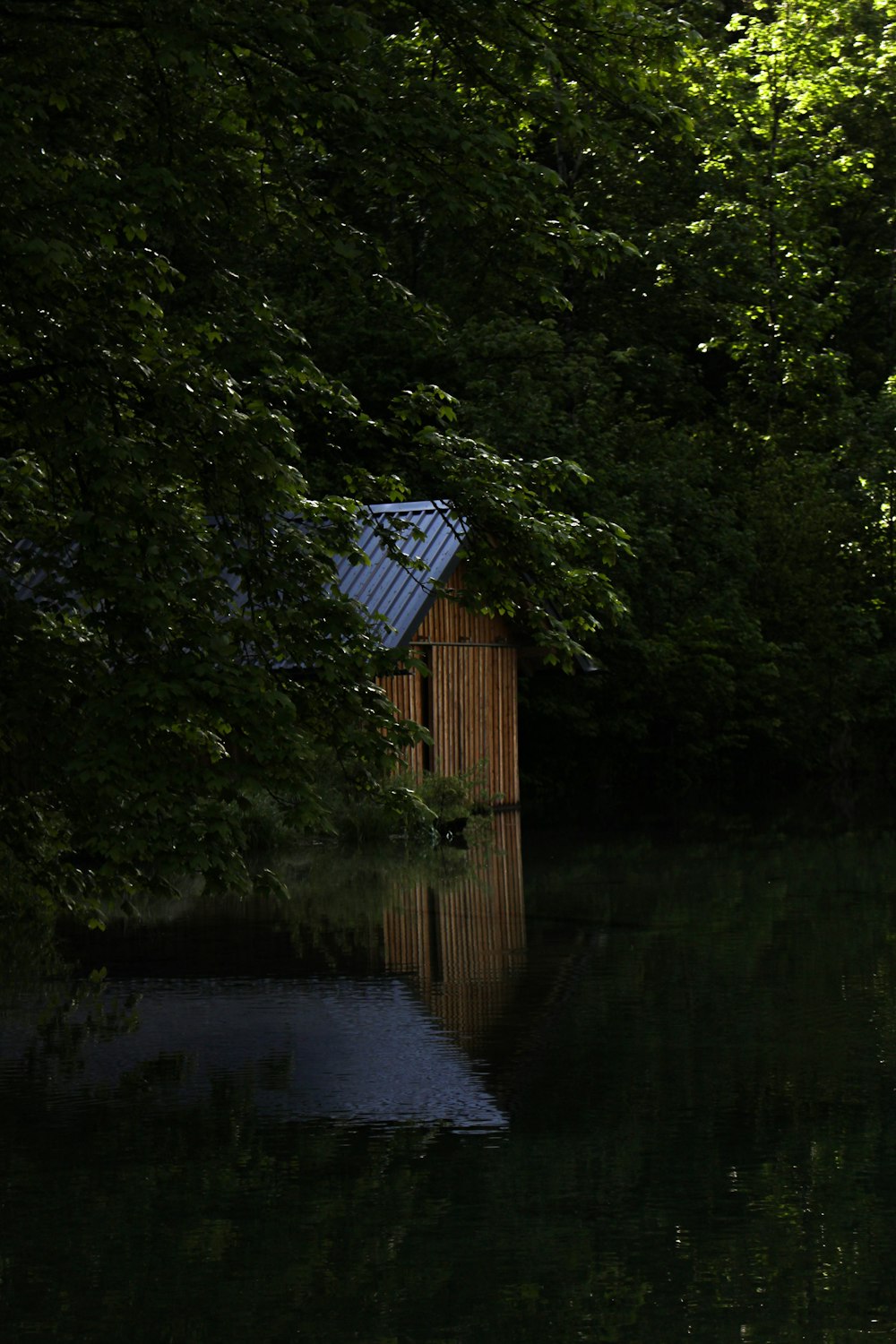 a small wooden hut sitting in the middle of a forest