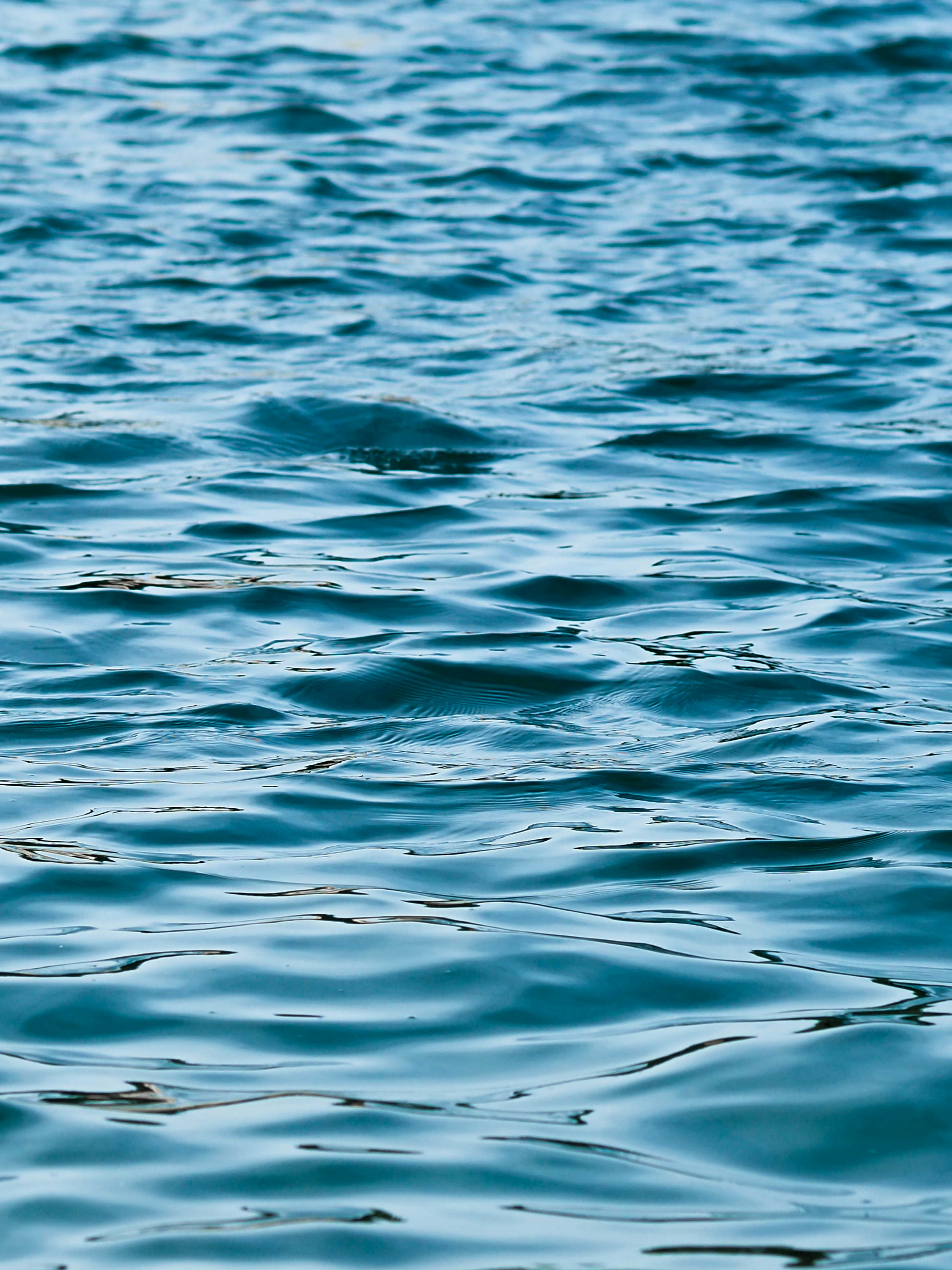 Photo by anna_c_wilhelm