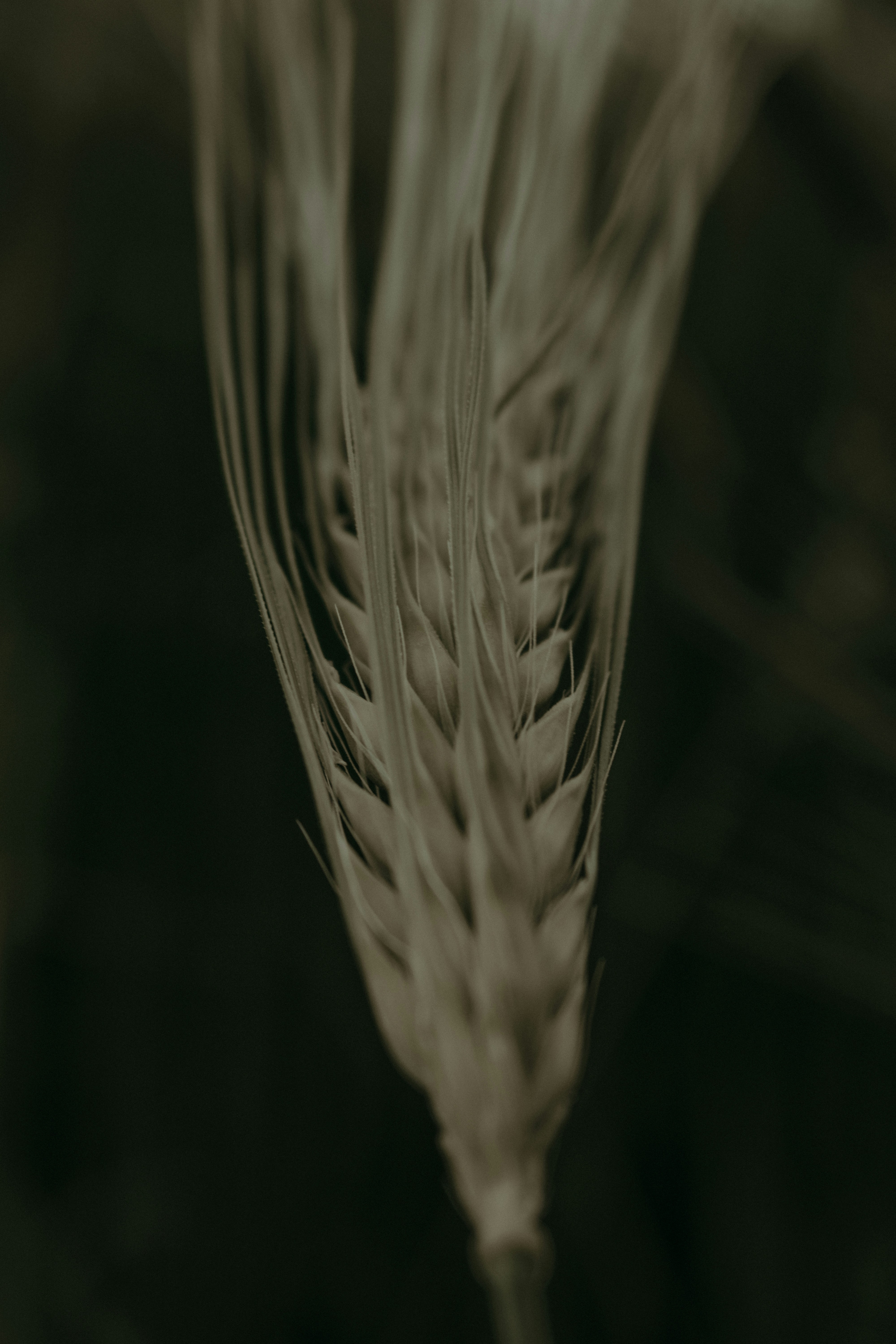 Photo by elisamoldovan