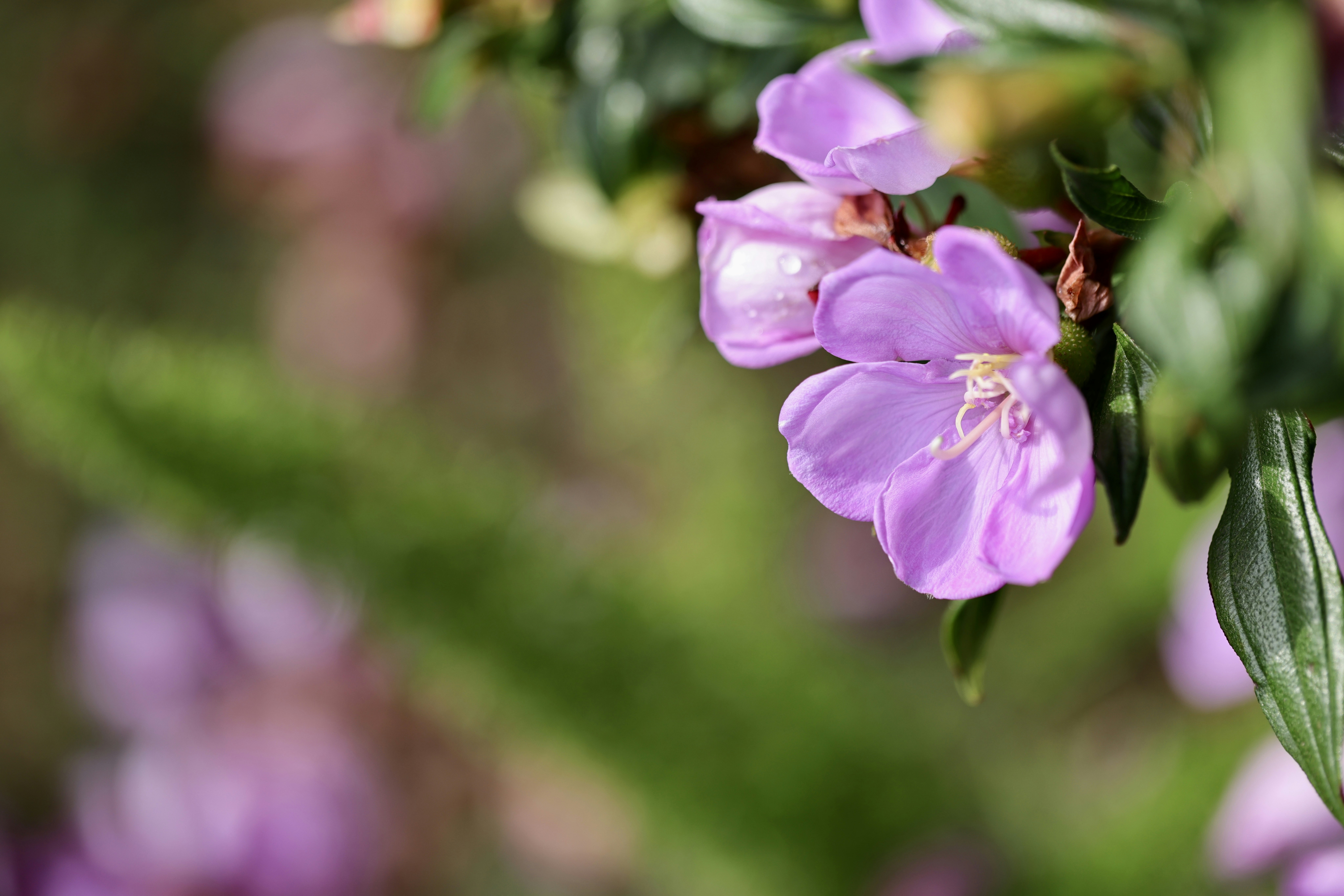 Photo by dickenslin76