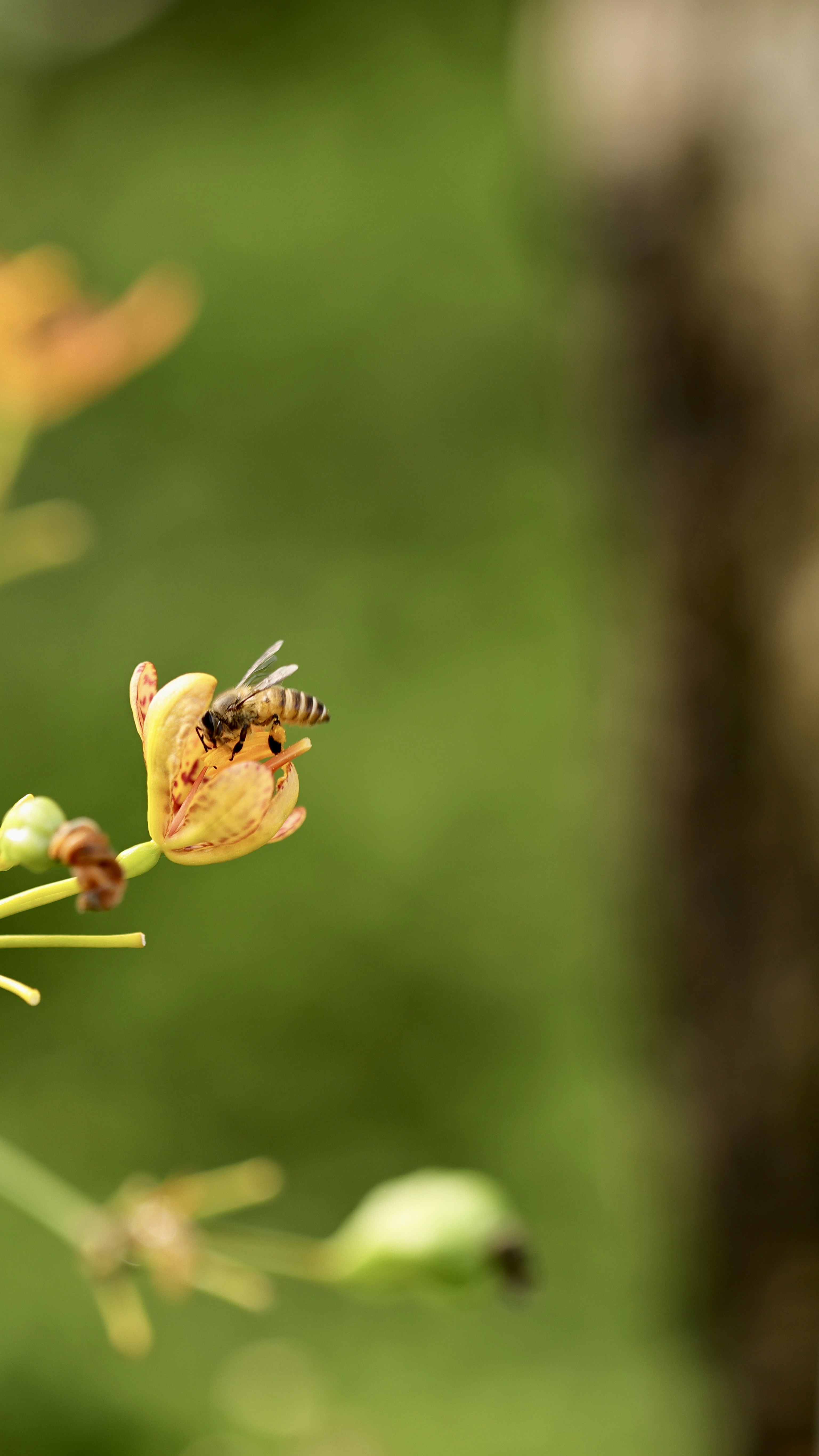 Photo by dickenslin76