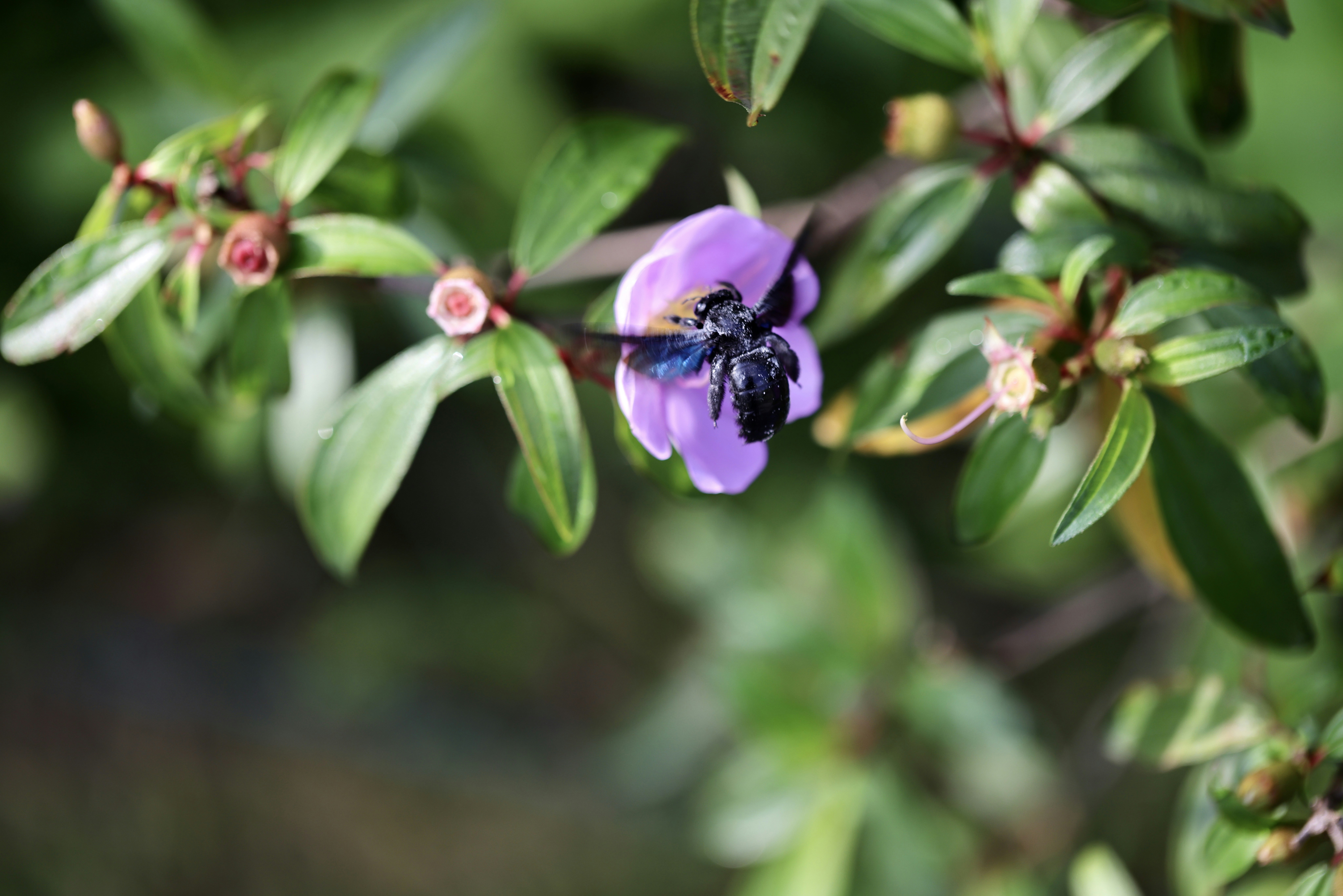 Photo by dickenslin76