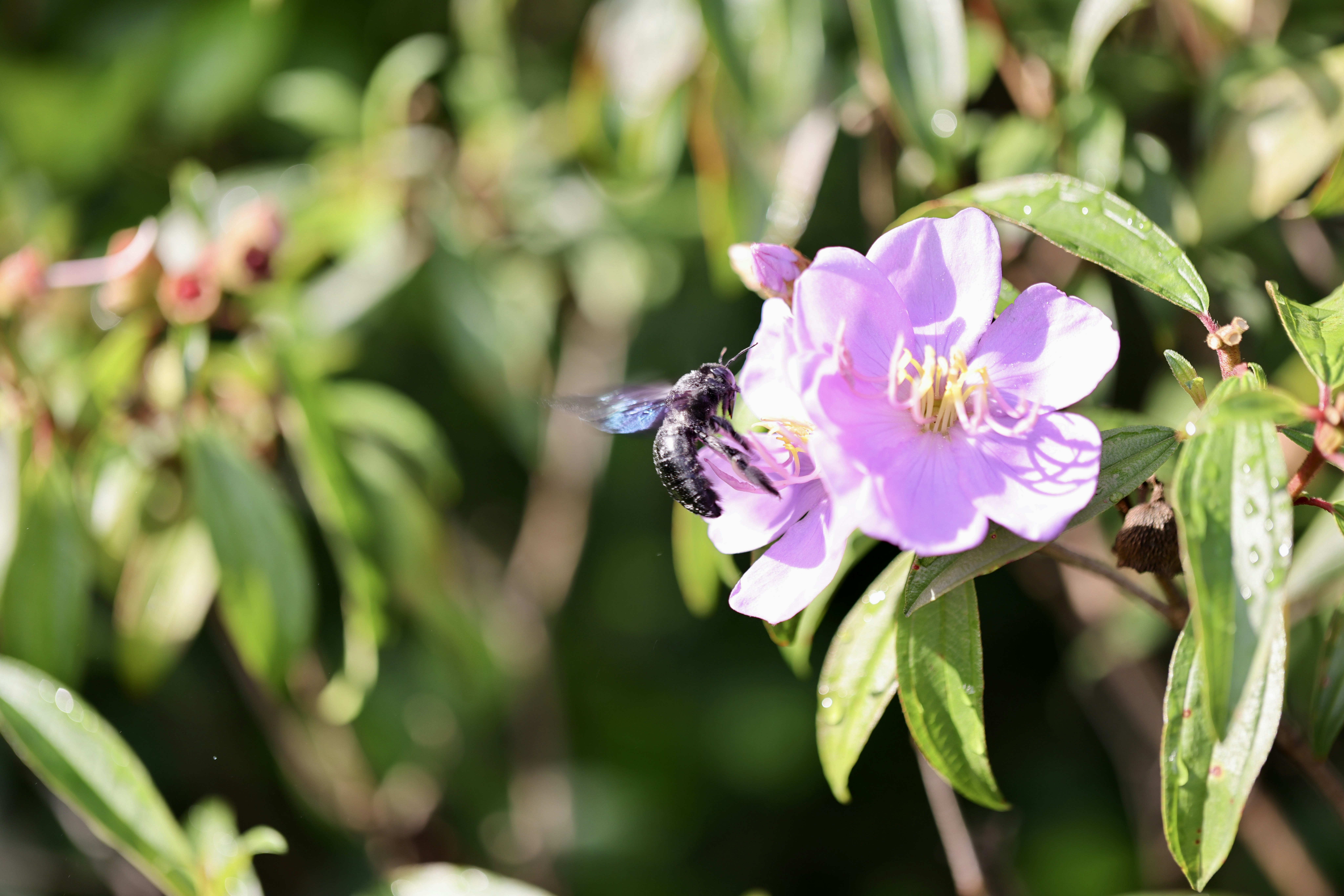 Photo by dickenslin76