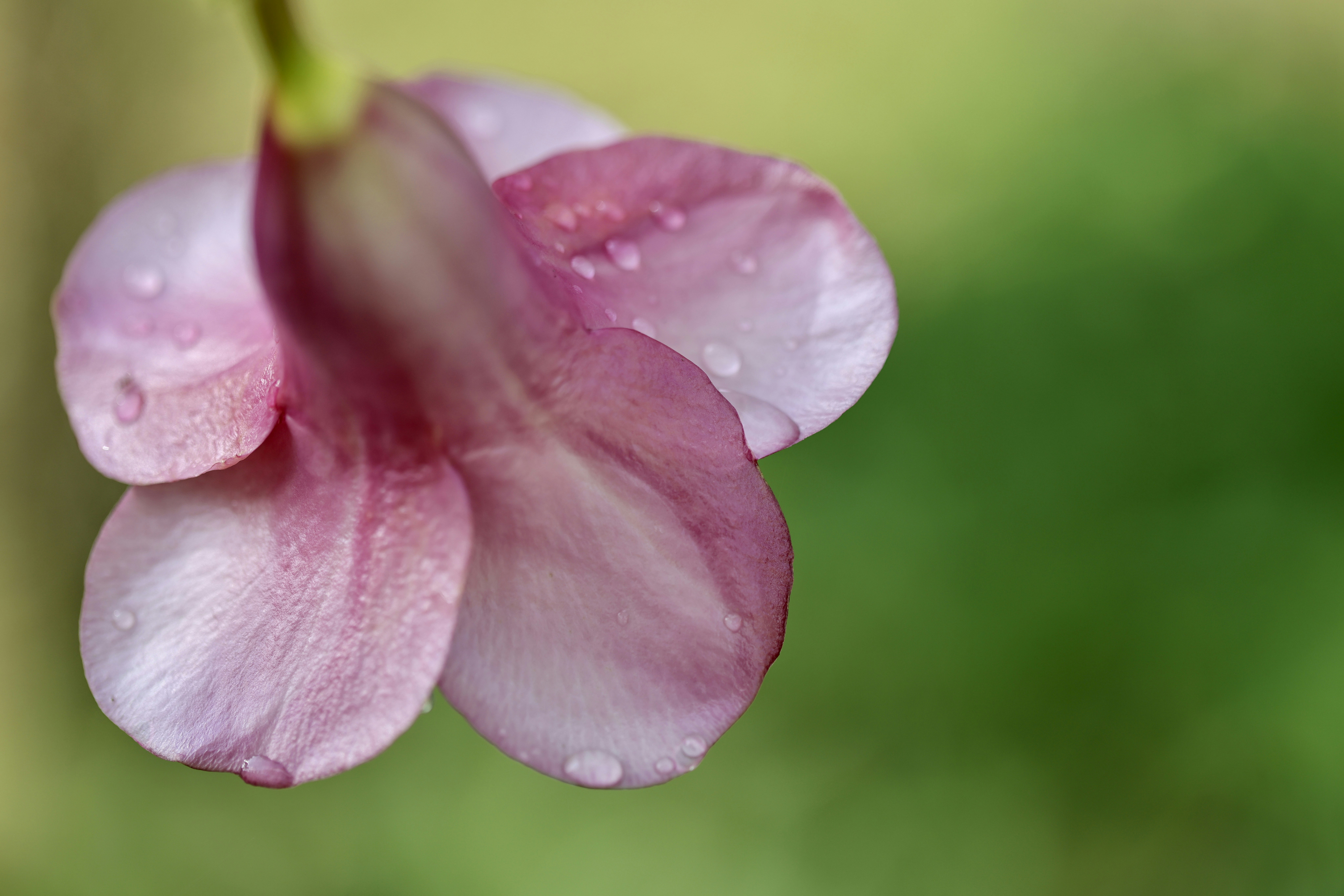 Photo by dickenslin76