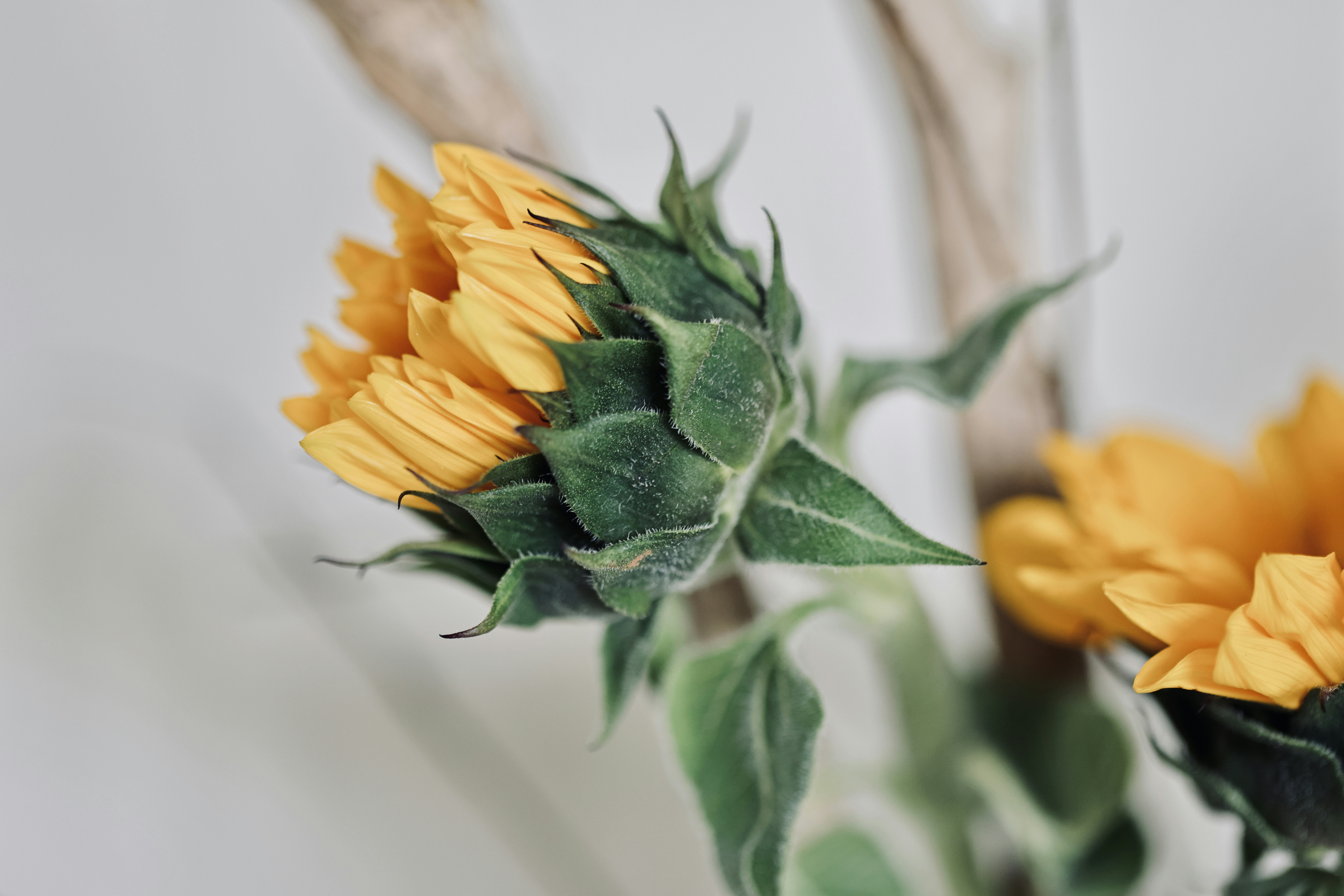 Photo by dickenslin76