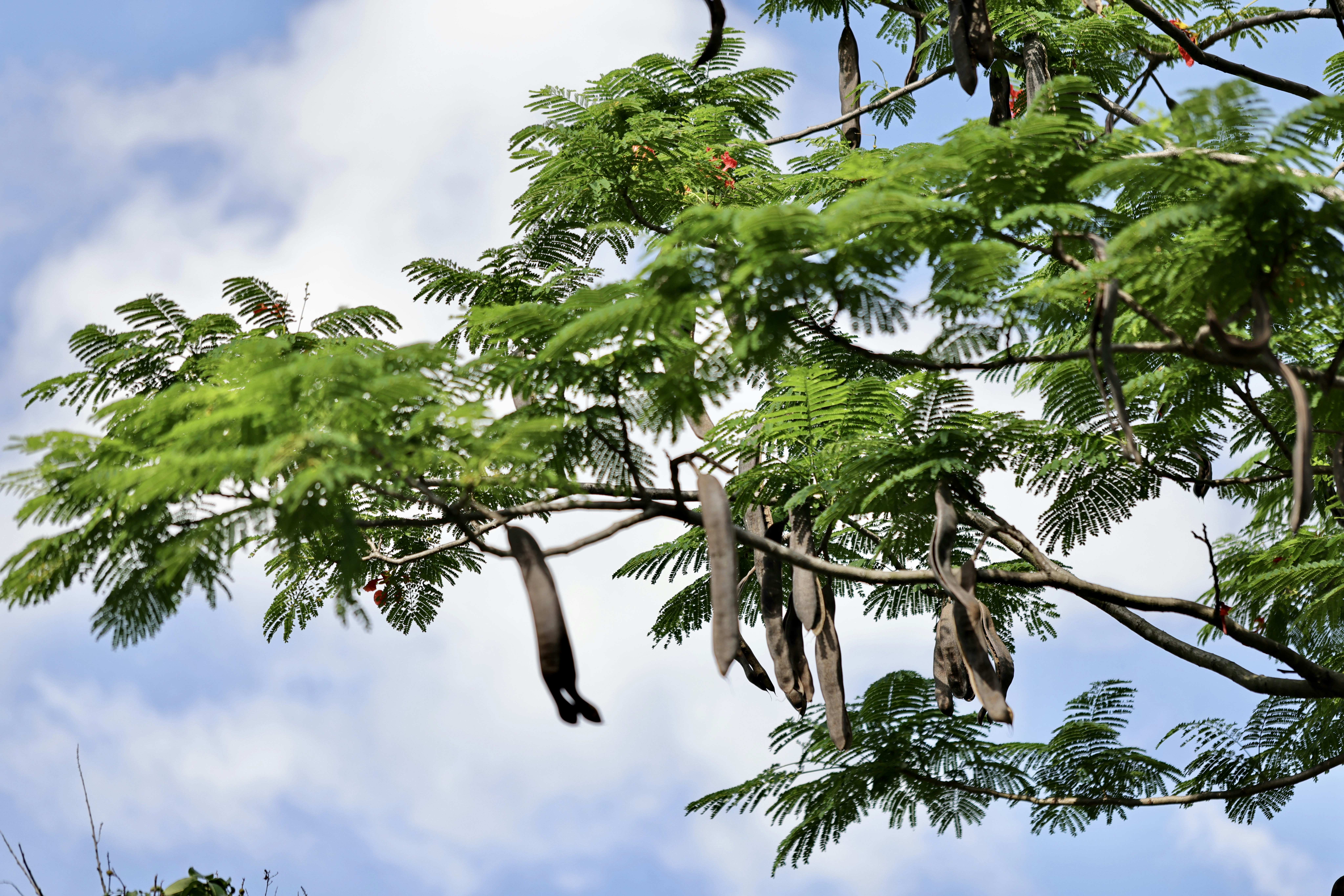 Photo by dickenslin76