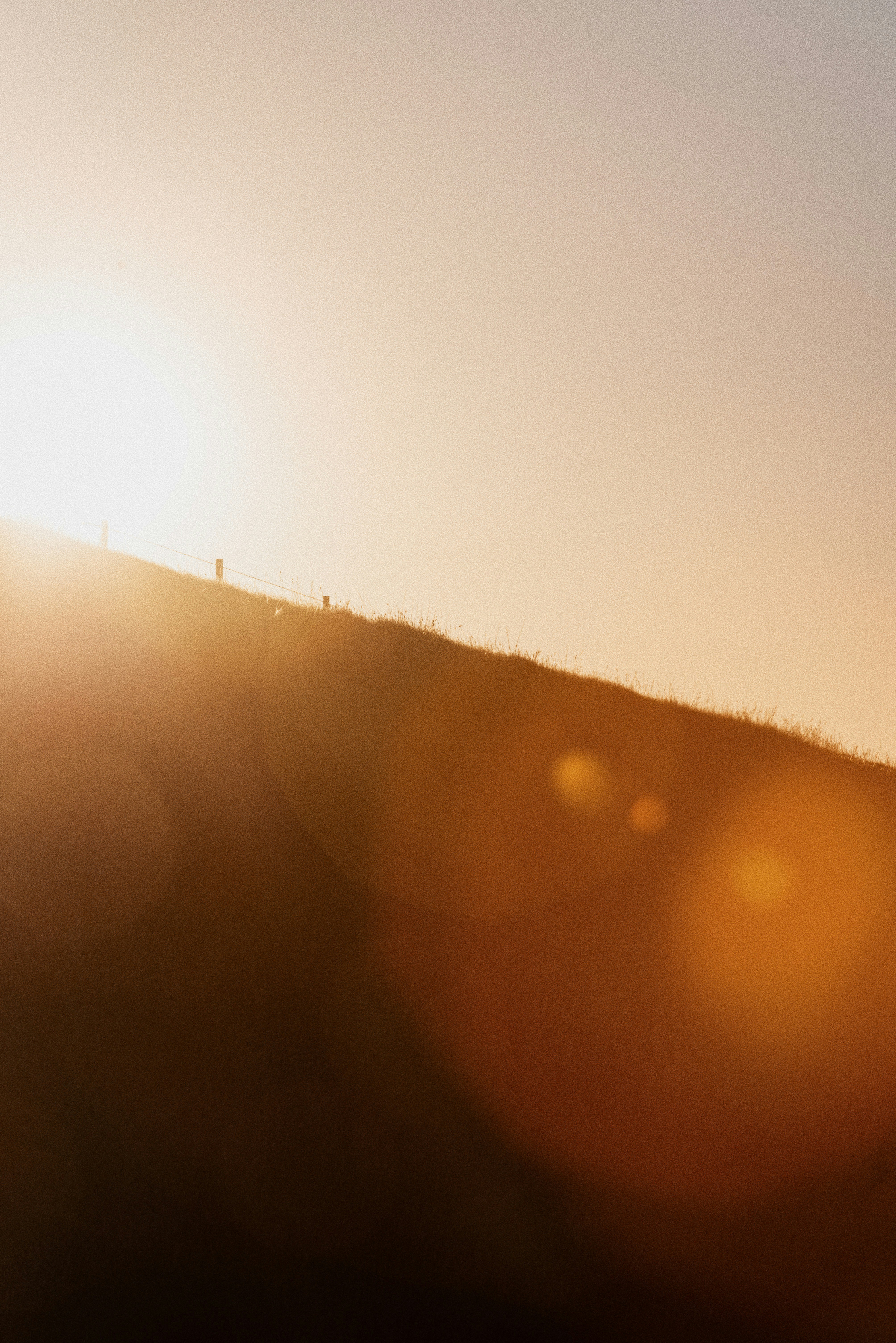 Photo by lucasmichau