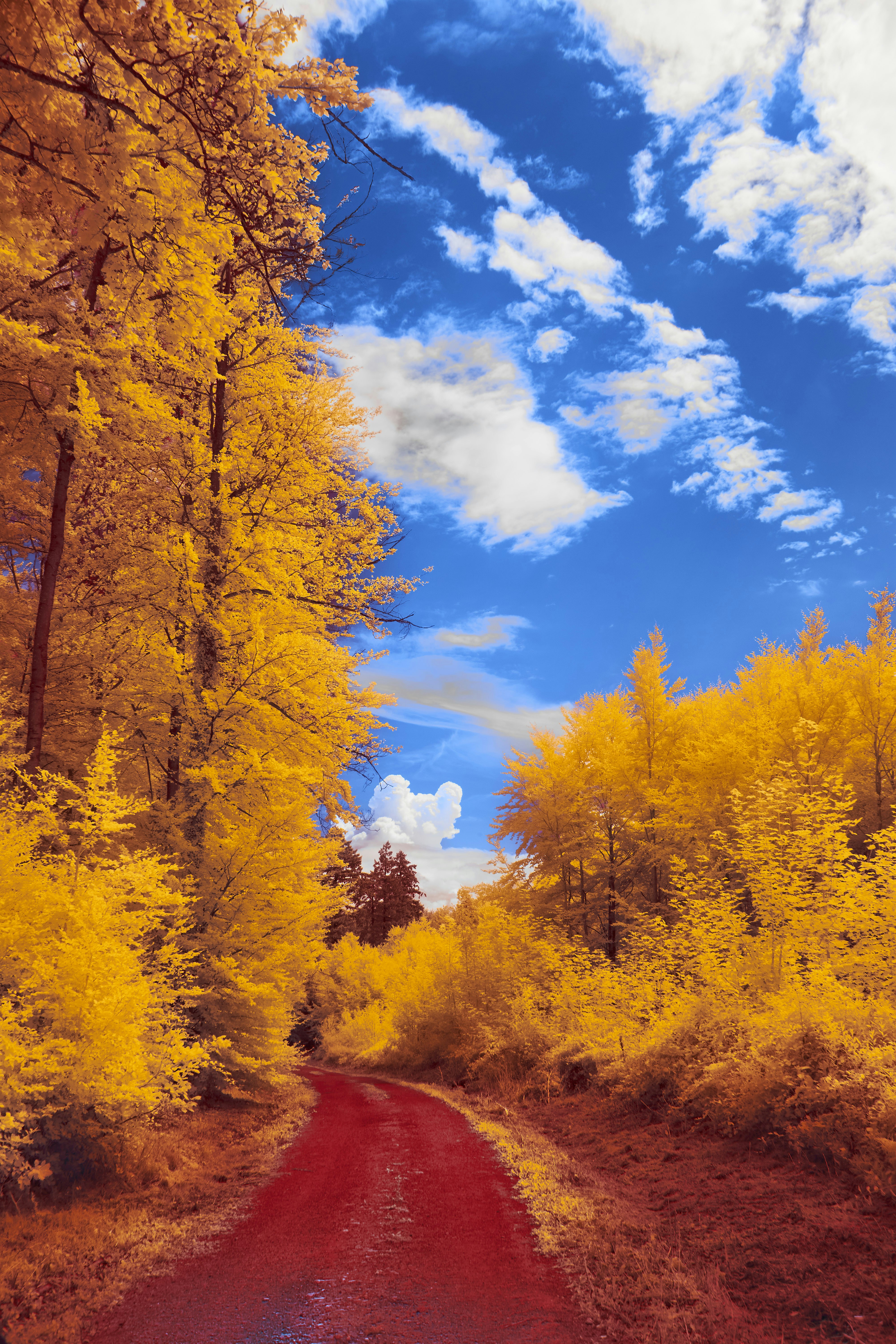 Photo by wolfgang_hasselmann