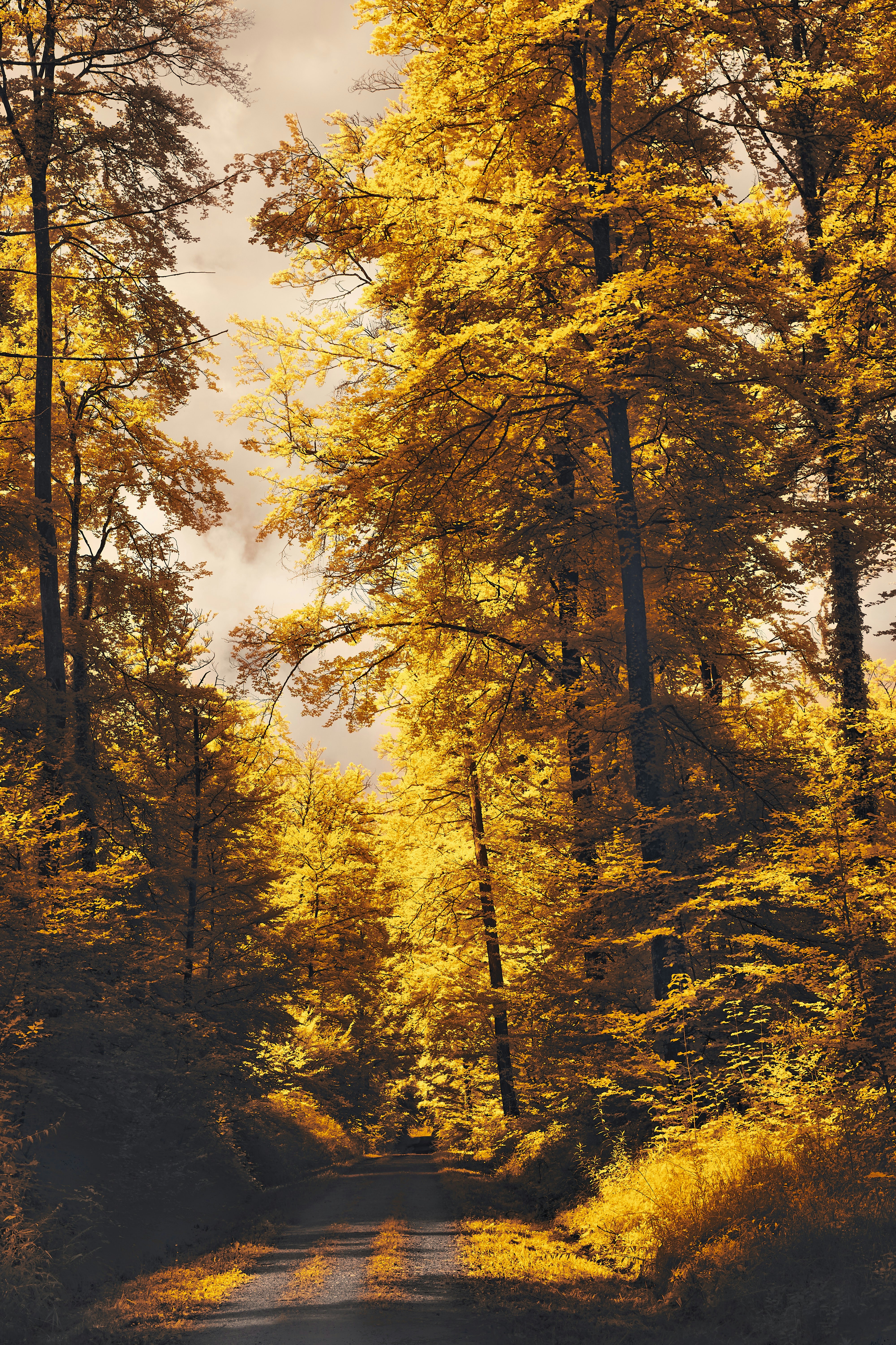 Photo by wolfgang_hasselmann