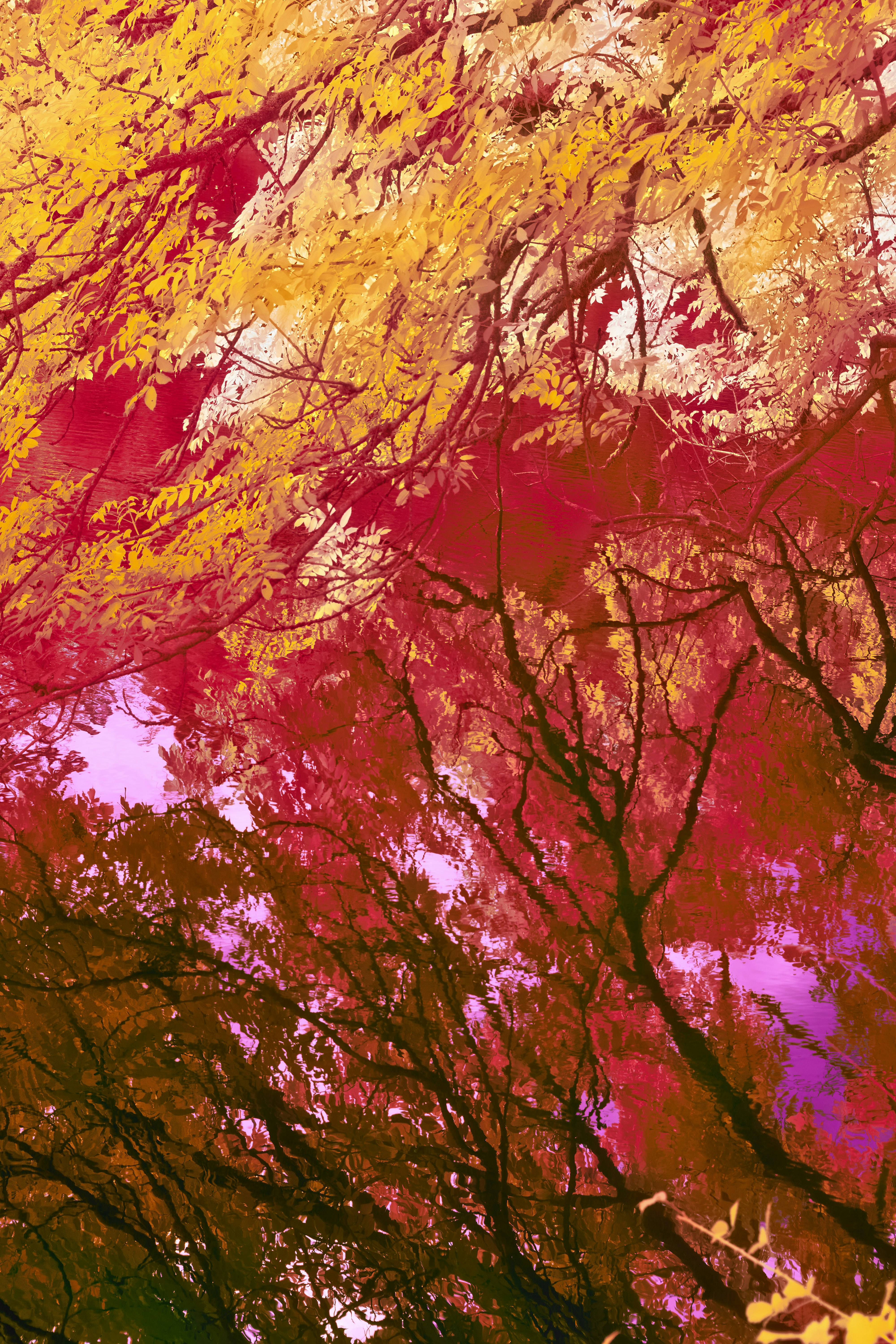 Photo by wolfgang_hasselmann