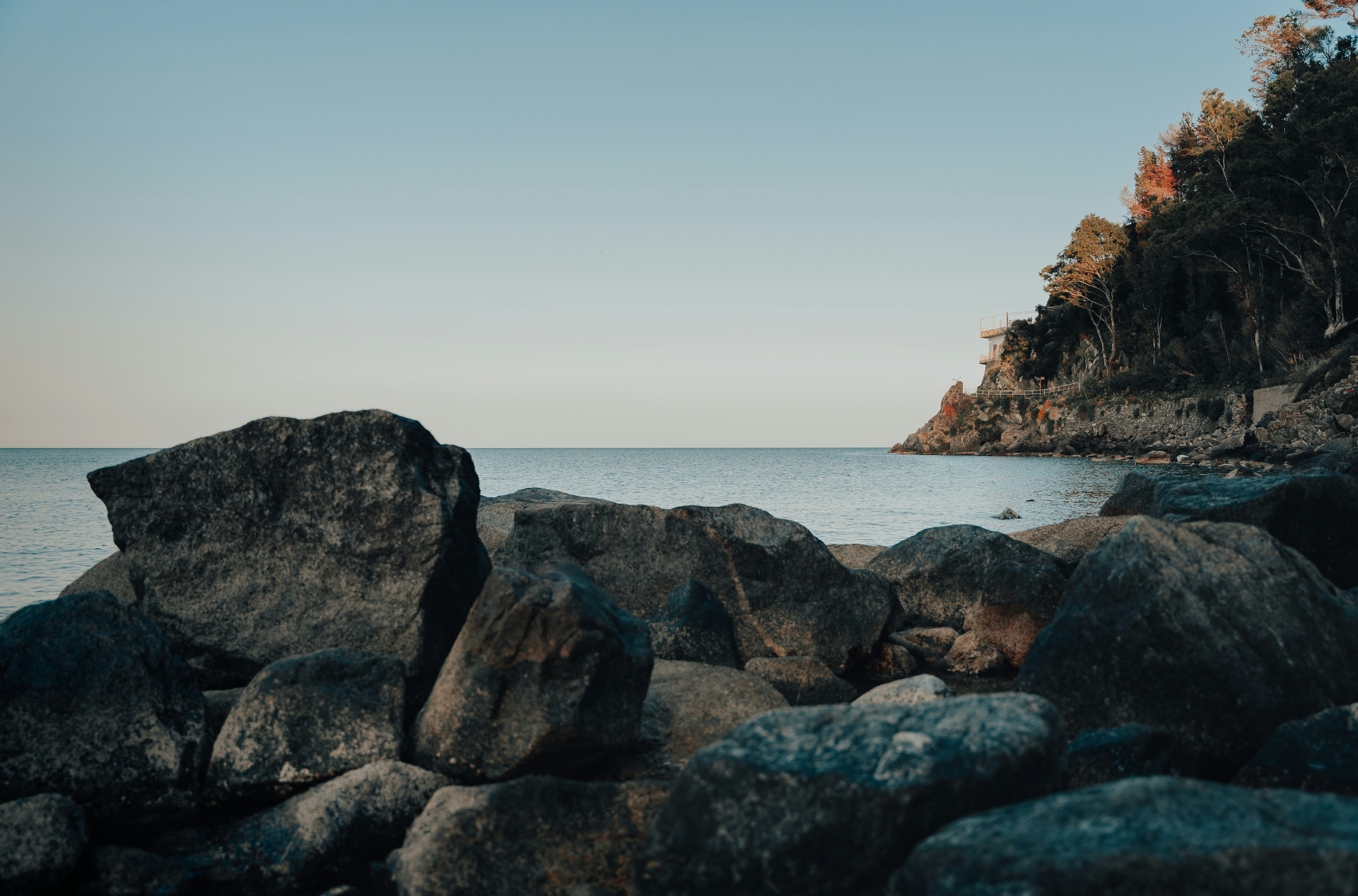 Photo by francesco_liotti