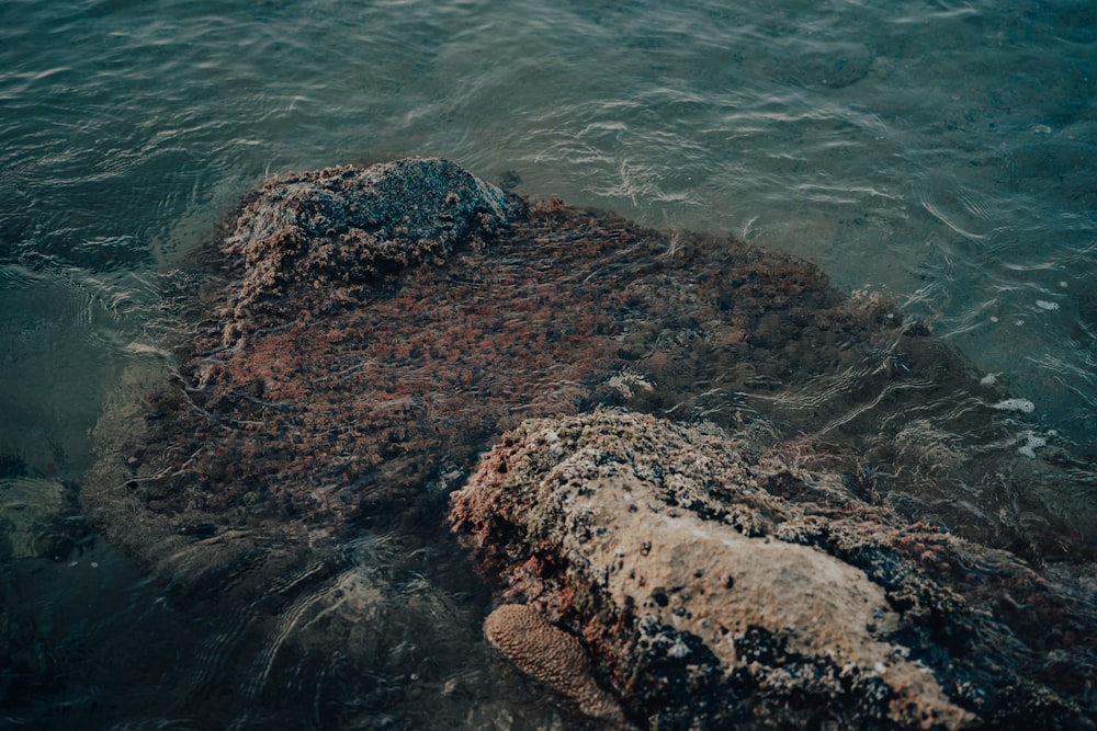 a rock in the middle of a body of water