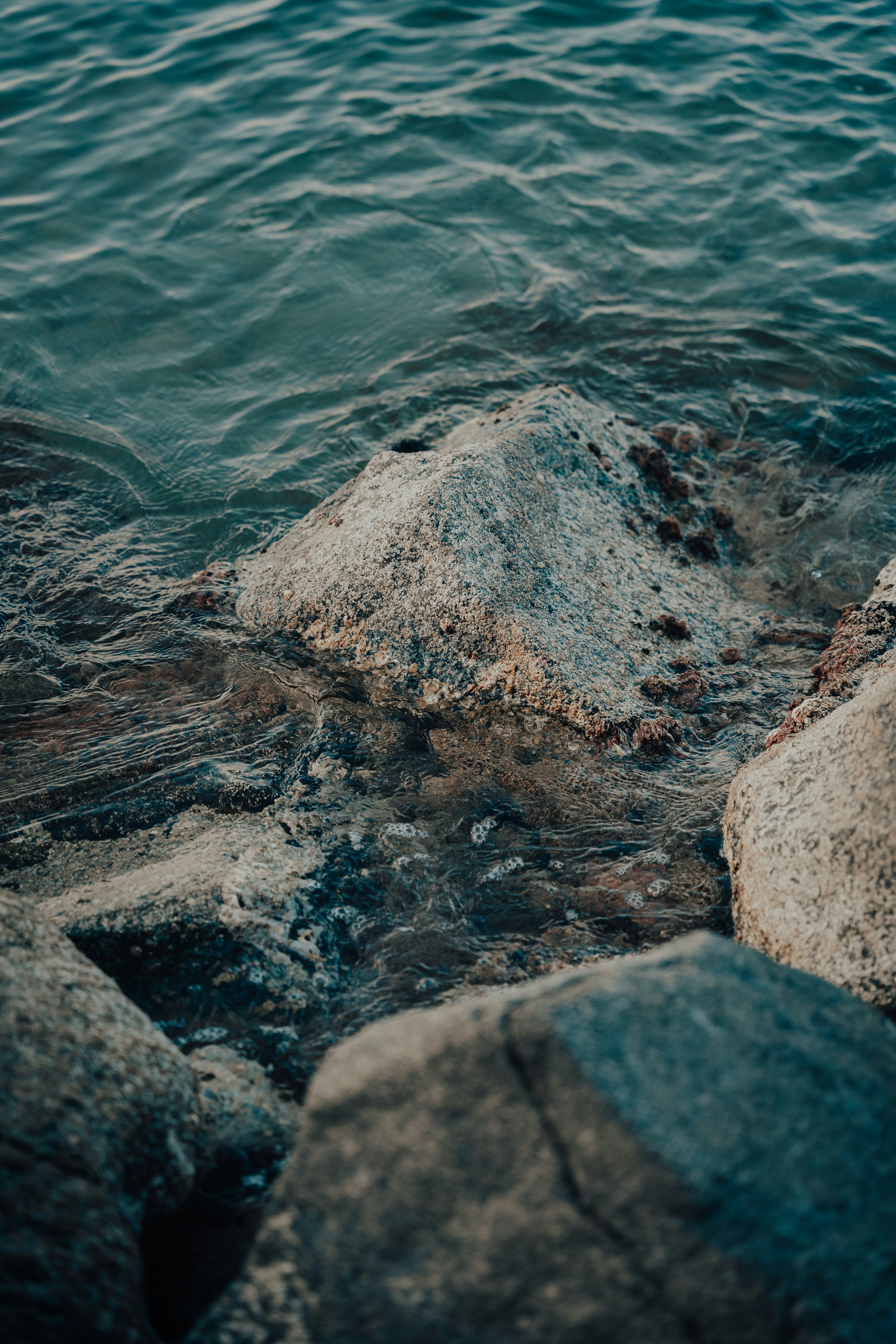 Photo by francesco_liotti