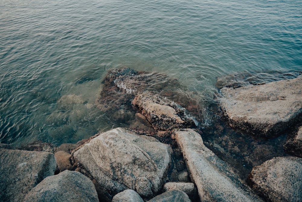 a body of water next to a rocky shore