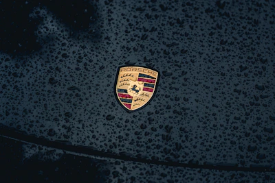 a close up of a car's emblem on a wet surface