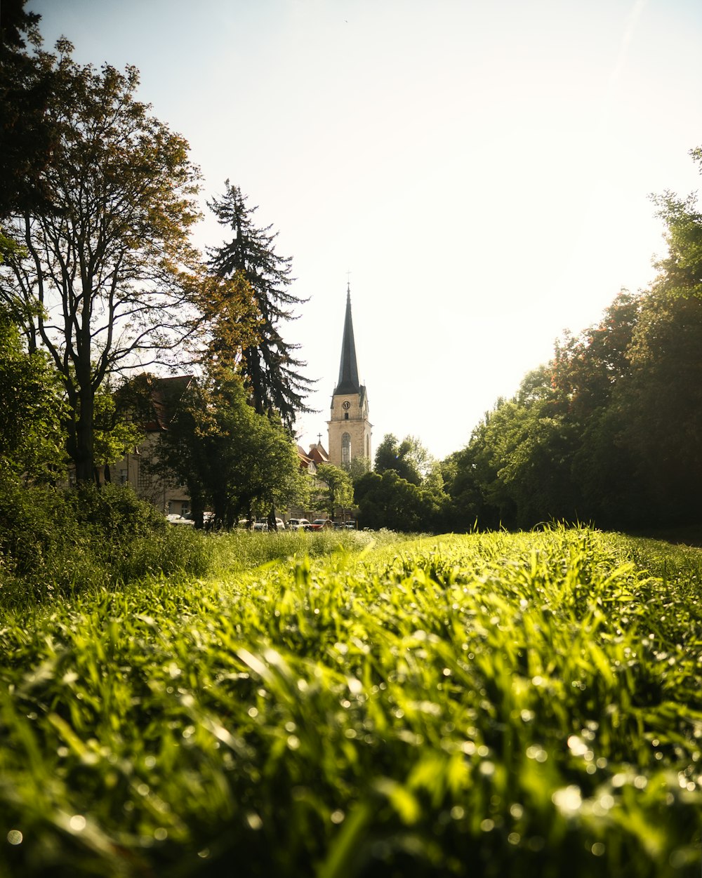 a grassy field with a church steeple in the background