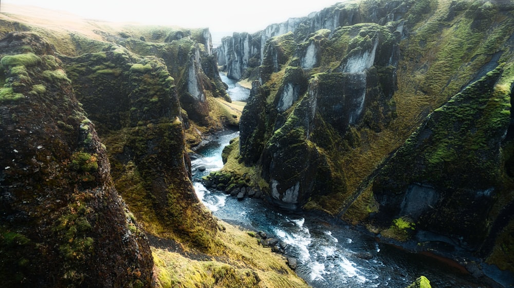 a river running through a lush green canyon