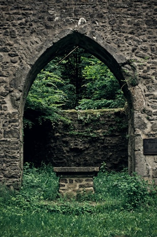An ancient stone archway covered in moss, hinting at forgotten stories beyond.