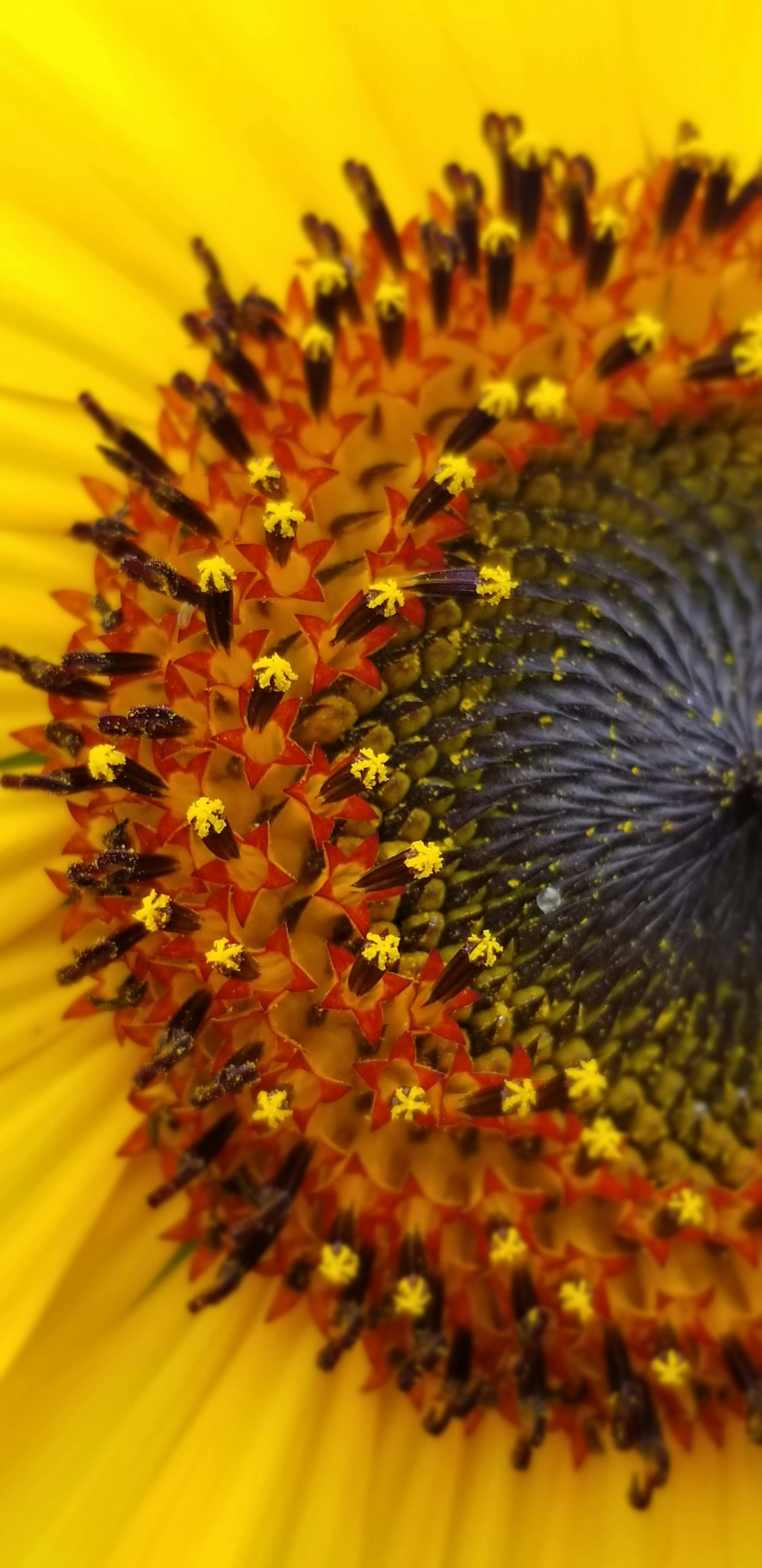 Photo by seaofthesaints