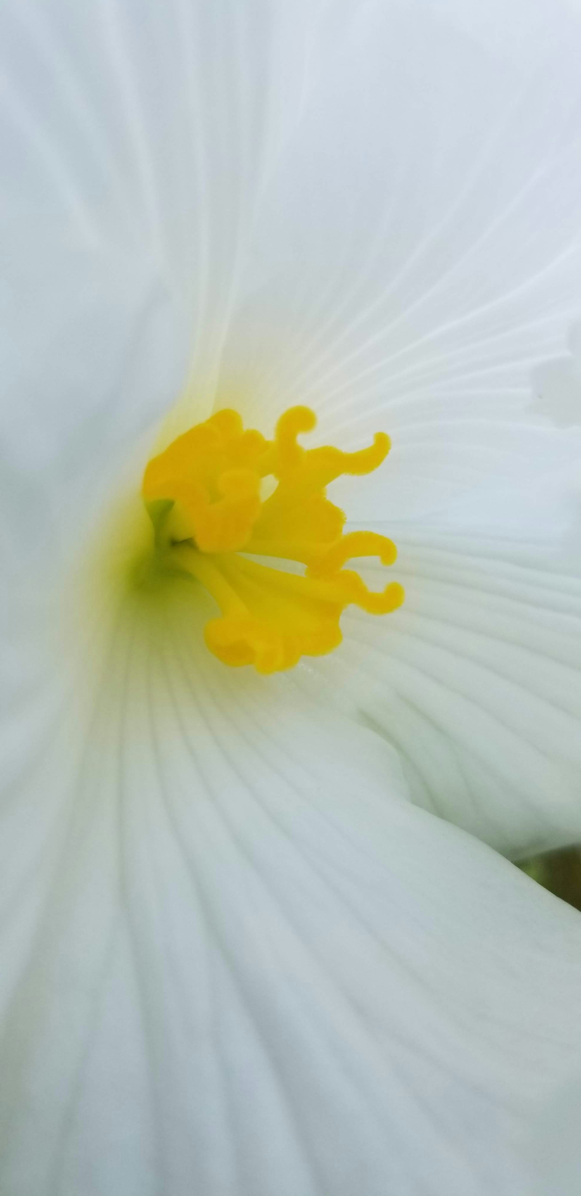 Photo by seaofthesaints