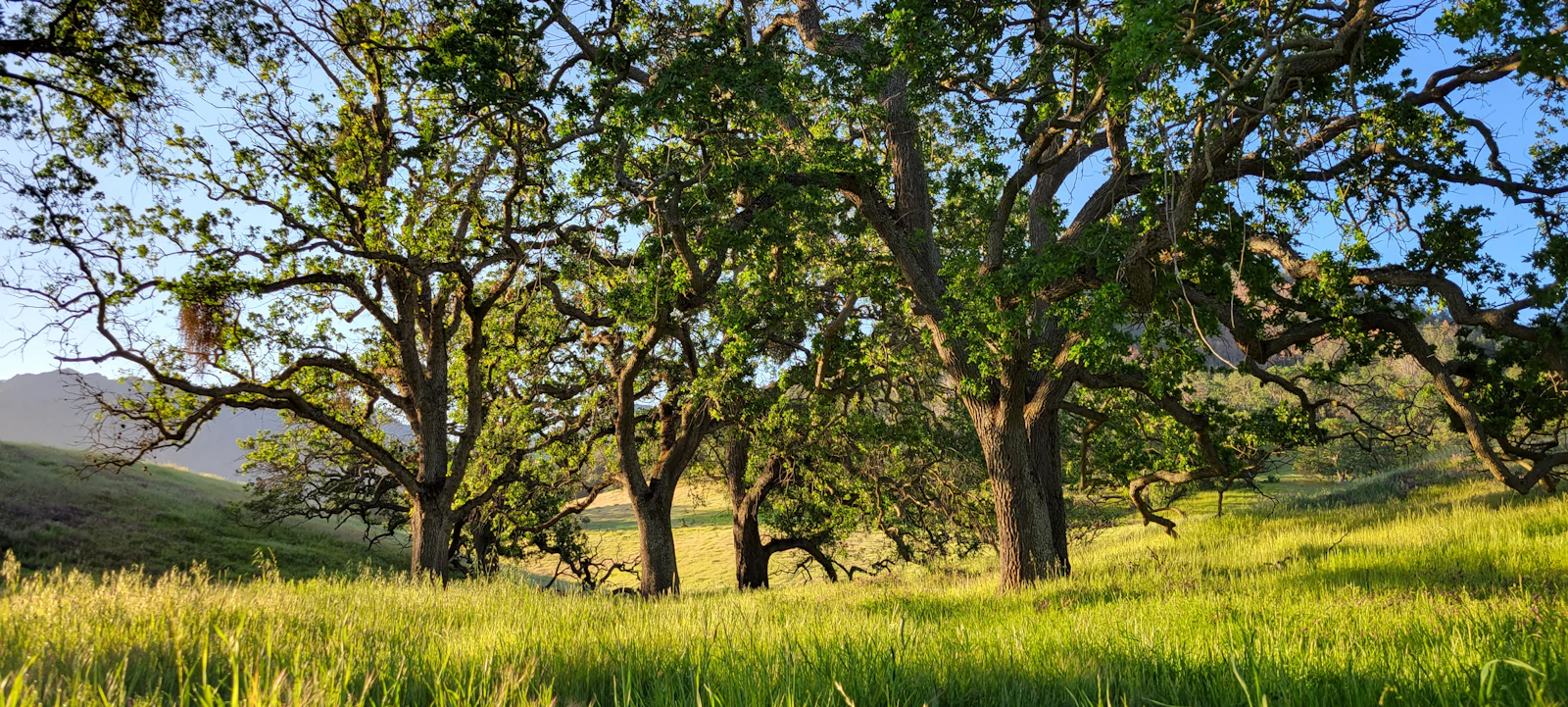 5 Hidden Gems That Show What Living in Penn Valley Is Like