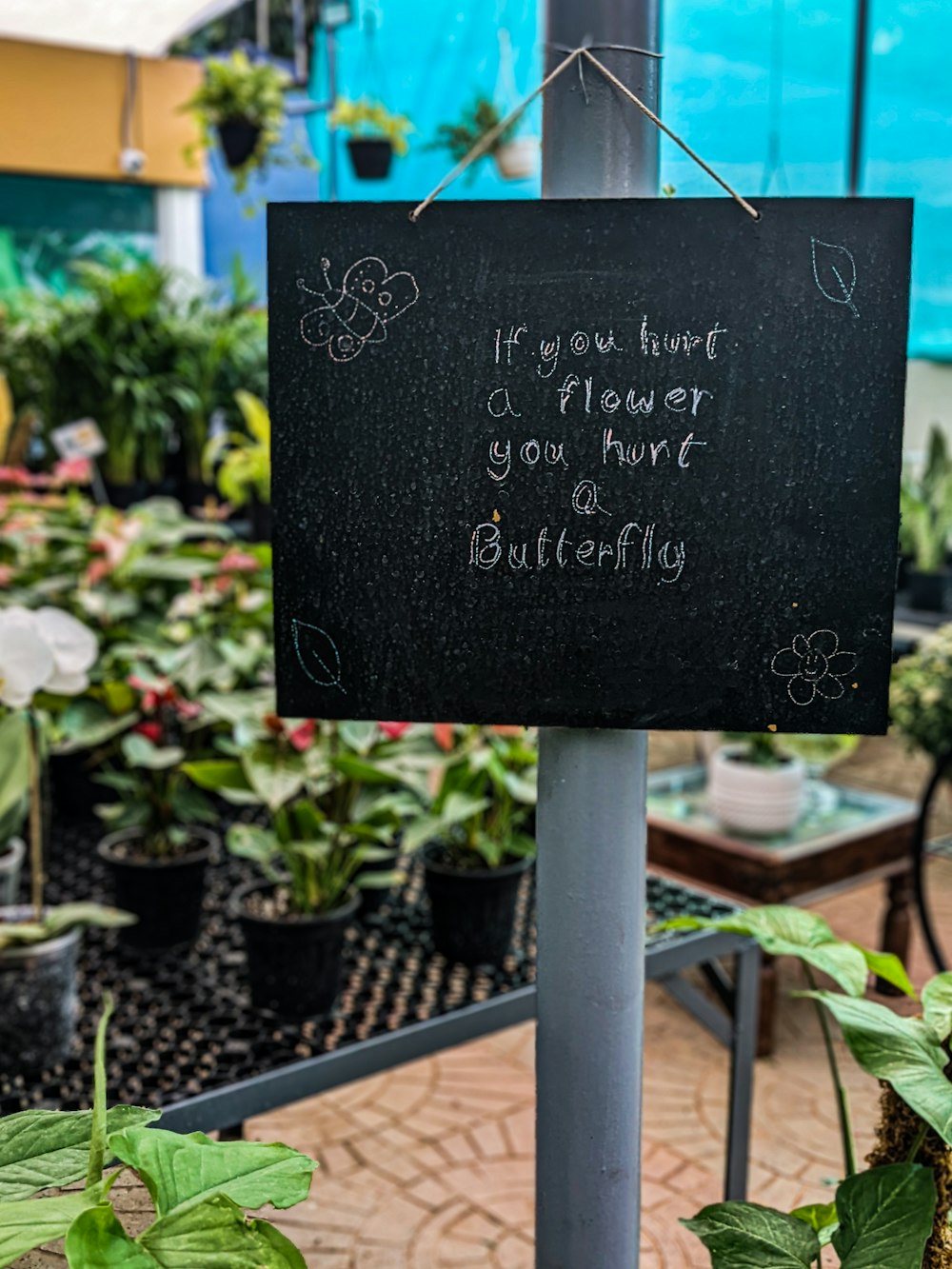 Un letrero que dice que si tienes una flor tienes una mariposa