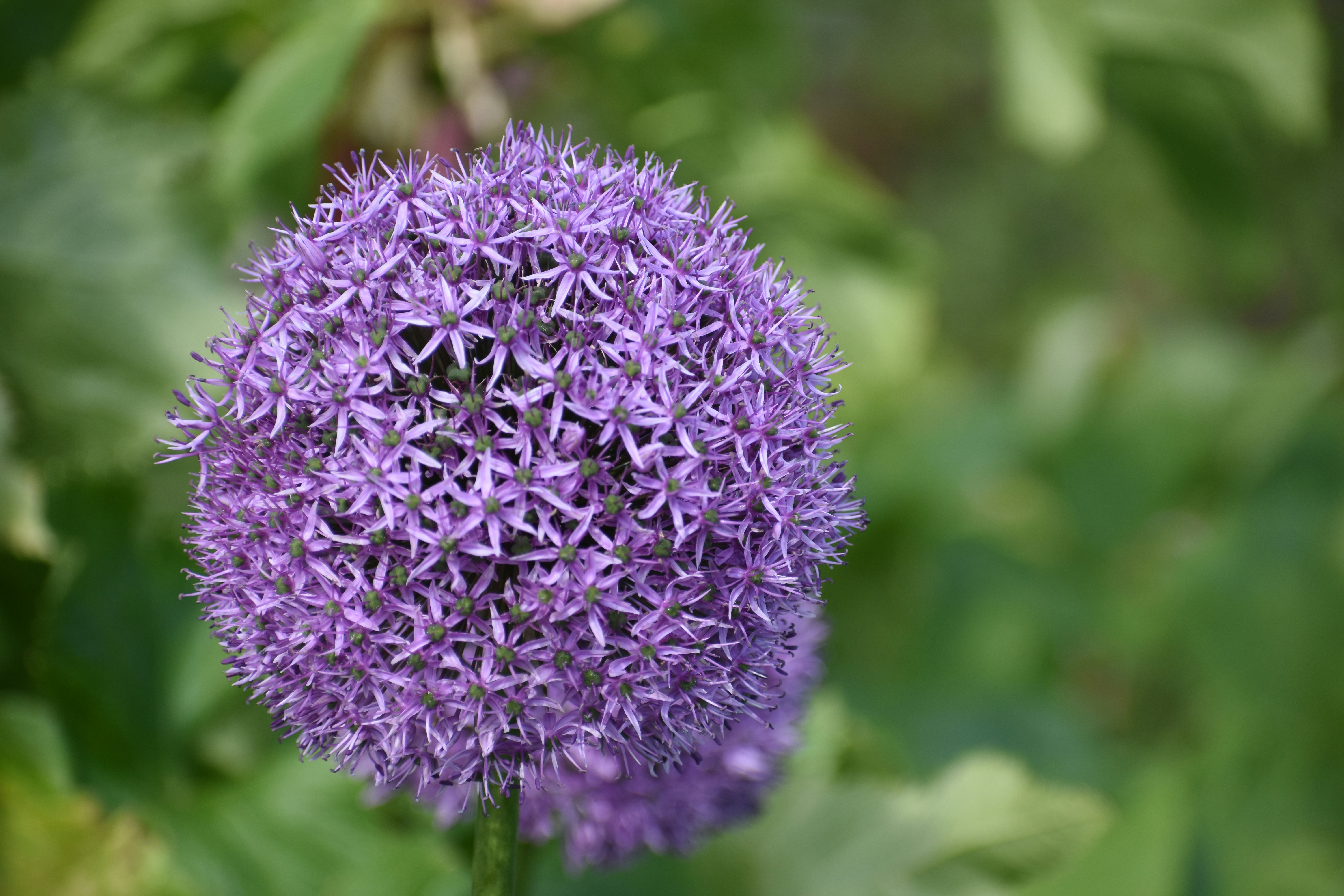 Photo by andrew_hall