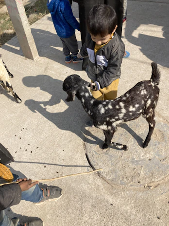 Children gently petting a friendly goat under the warm Indiana sun.