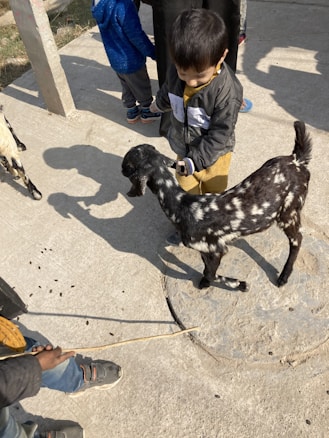 A child in a gray jacket is gently holding a small, black and white spotted goat on a concrete surface. Other children are nearby, and a stick is visible in the foreground. The shadows of the children and the goat suggest it is a sunny day.