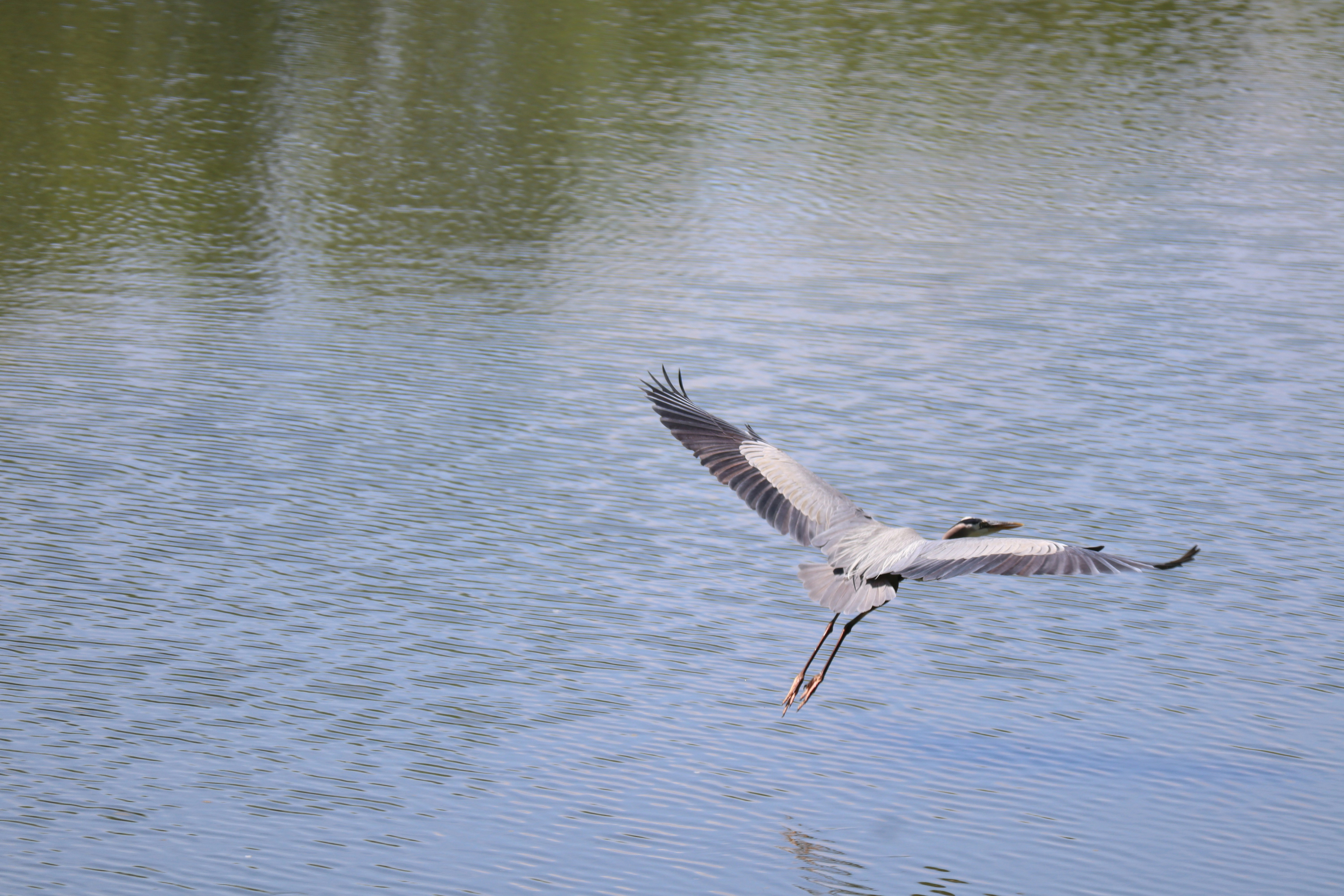 챗봇 개발에 빅데이터를 적용하는 법 (AI 챗봇 사례)